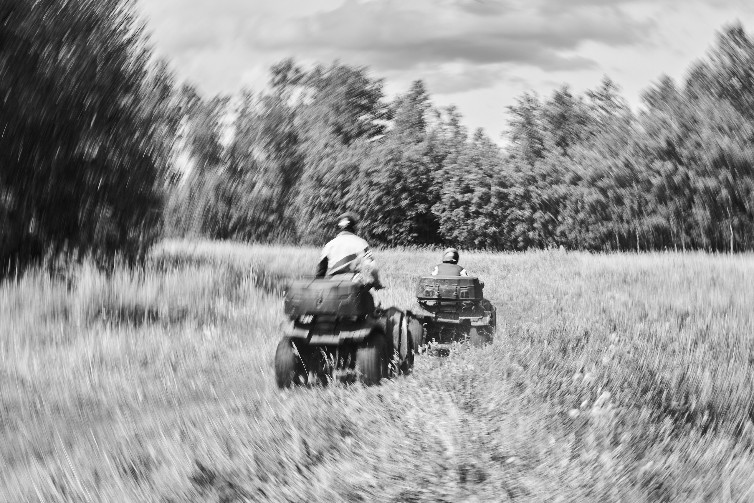 Лес. Прогулка на квадроциклах. Фотограф Дарья Нохрина