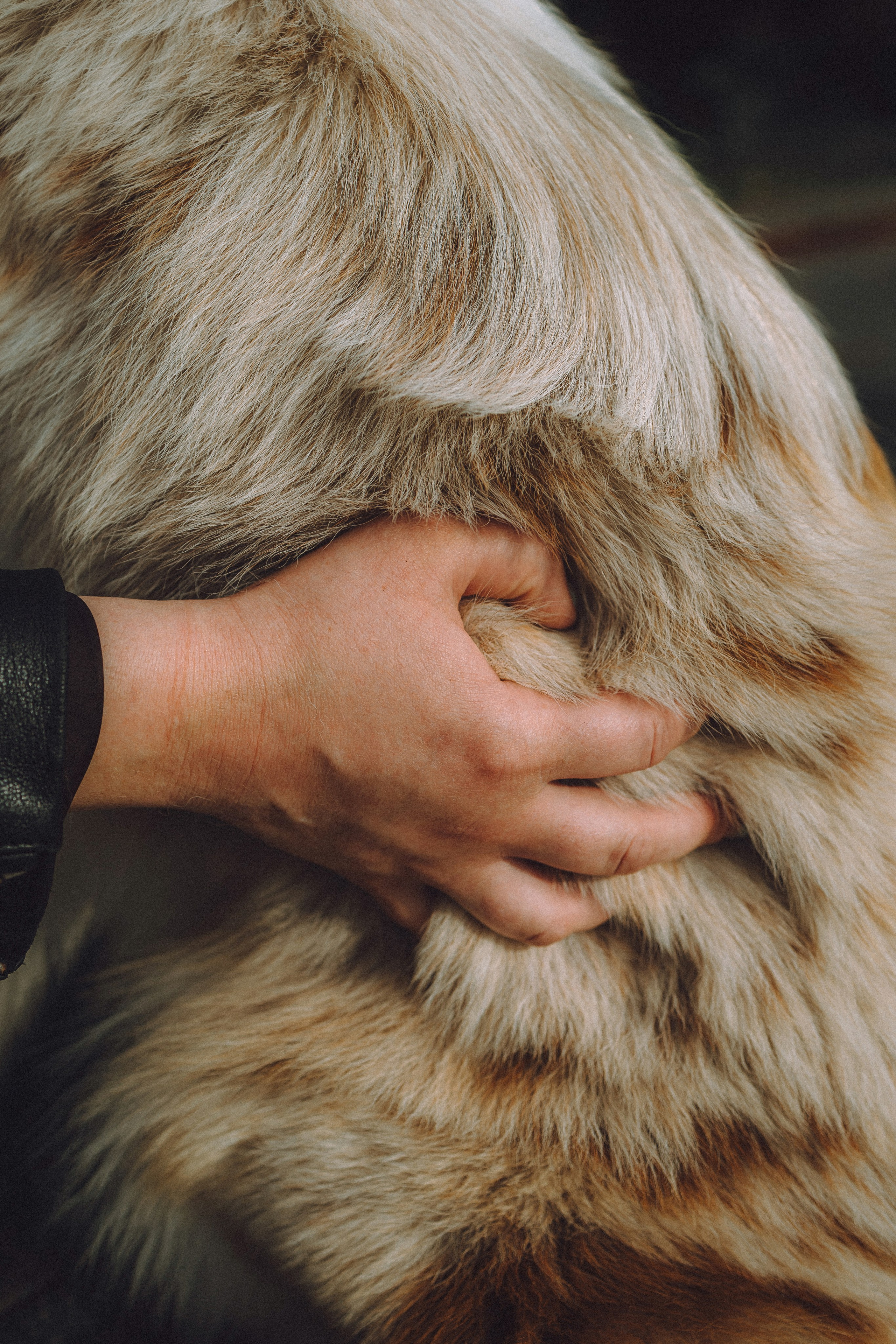 Один и его семья