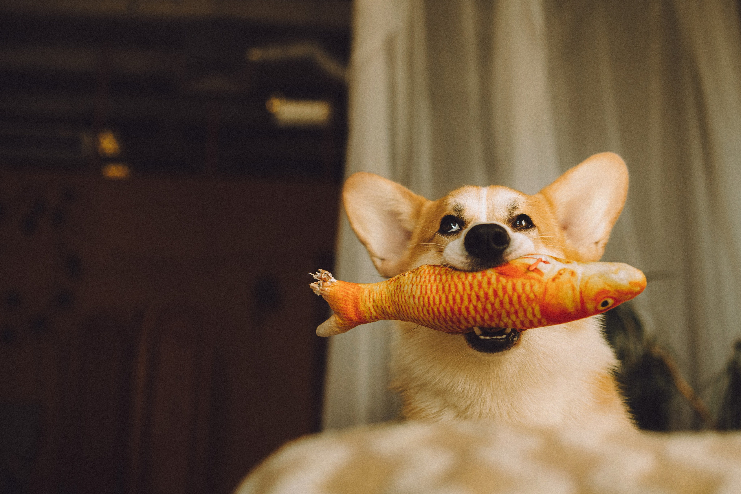 Наталья, Евгений и Мерлин