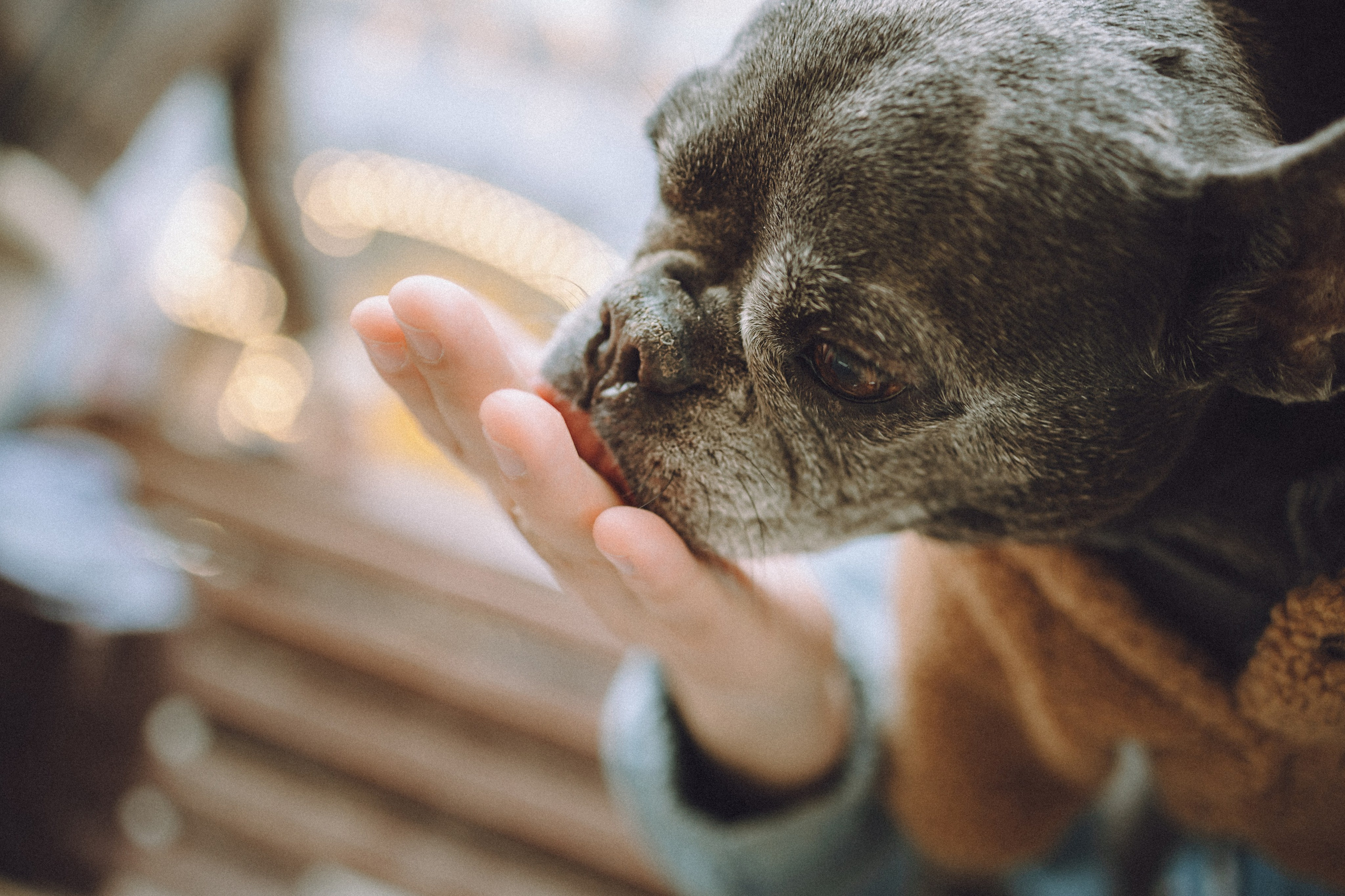 Юля, Вова и Моня