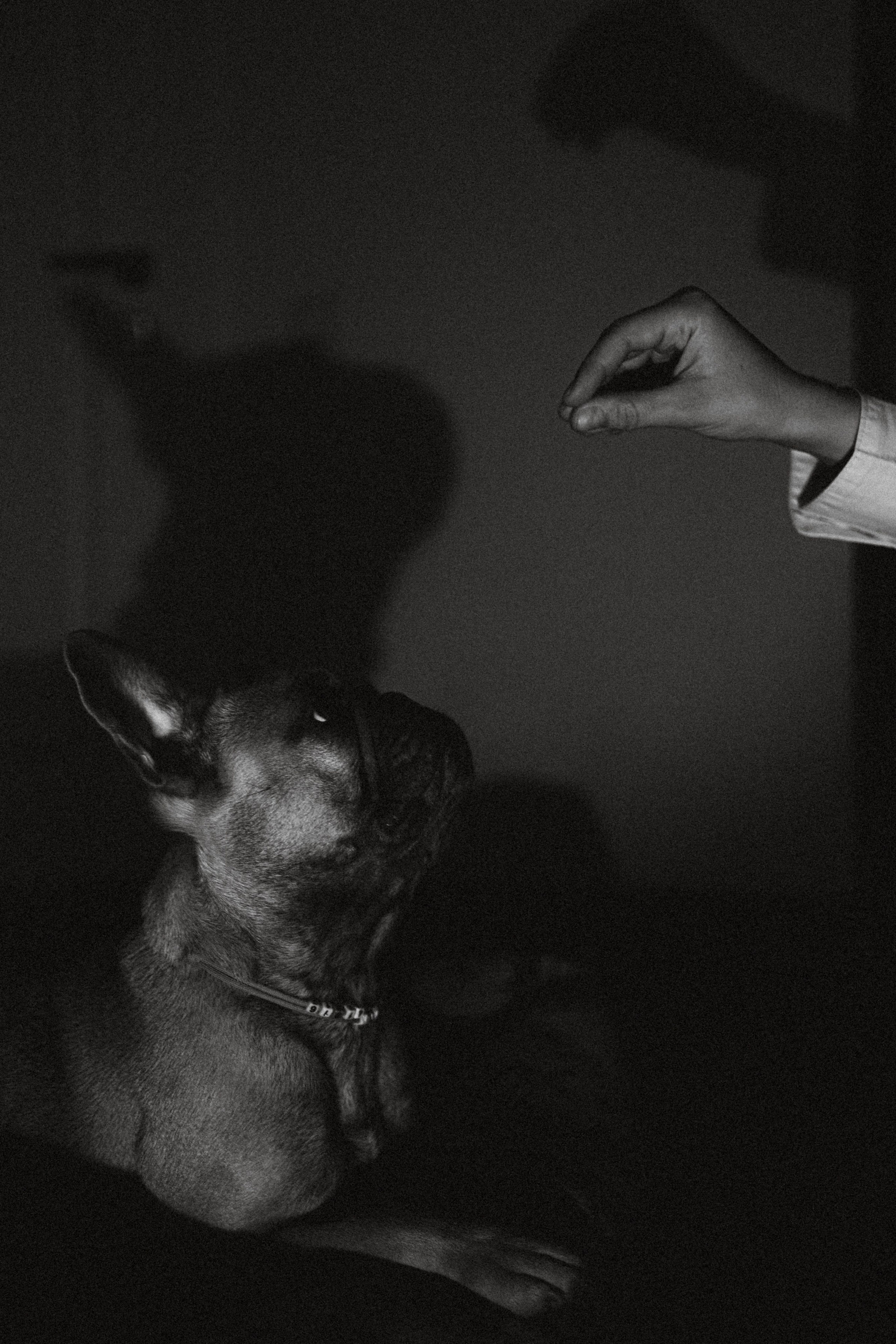 Юля, Мия и Зек