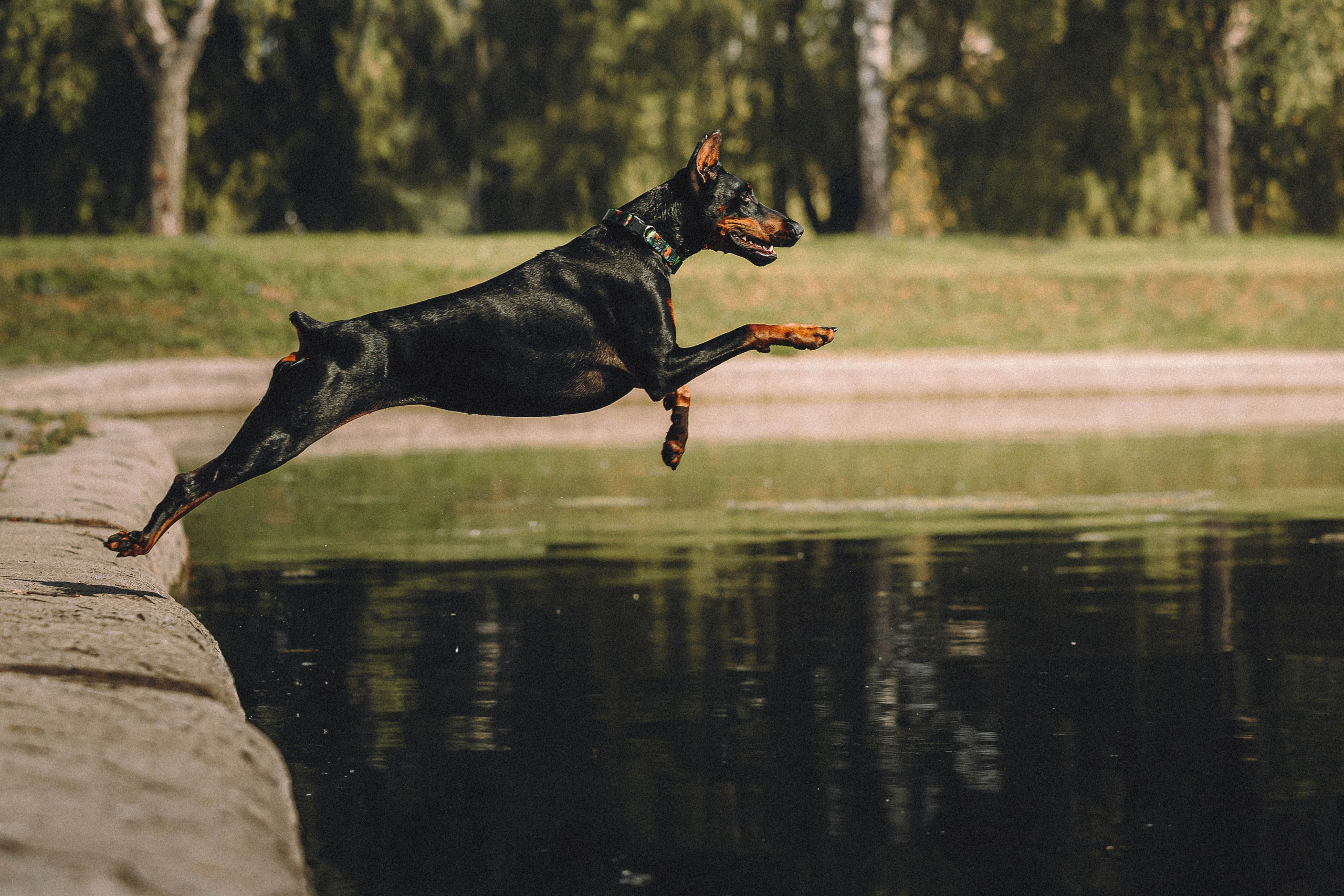 Паша и Хайди