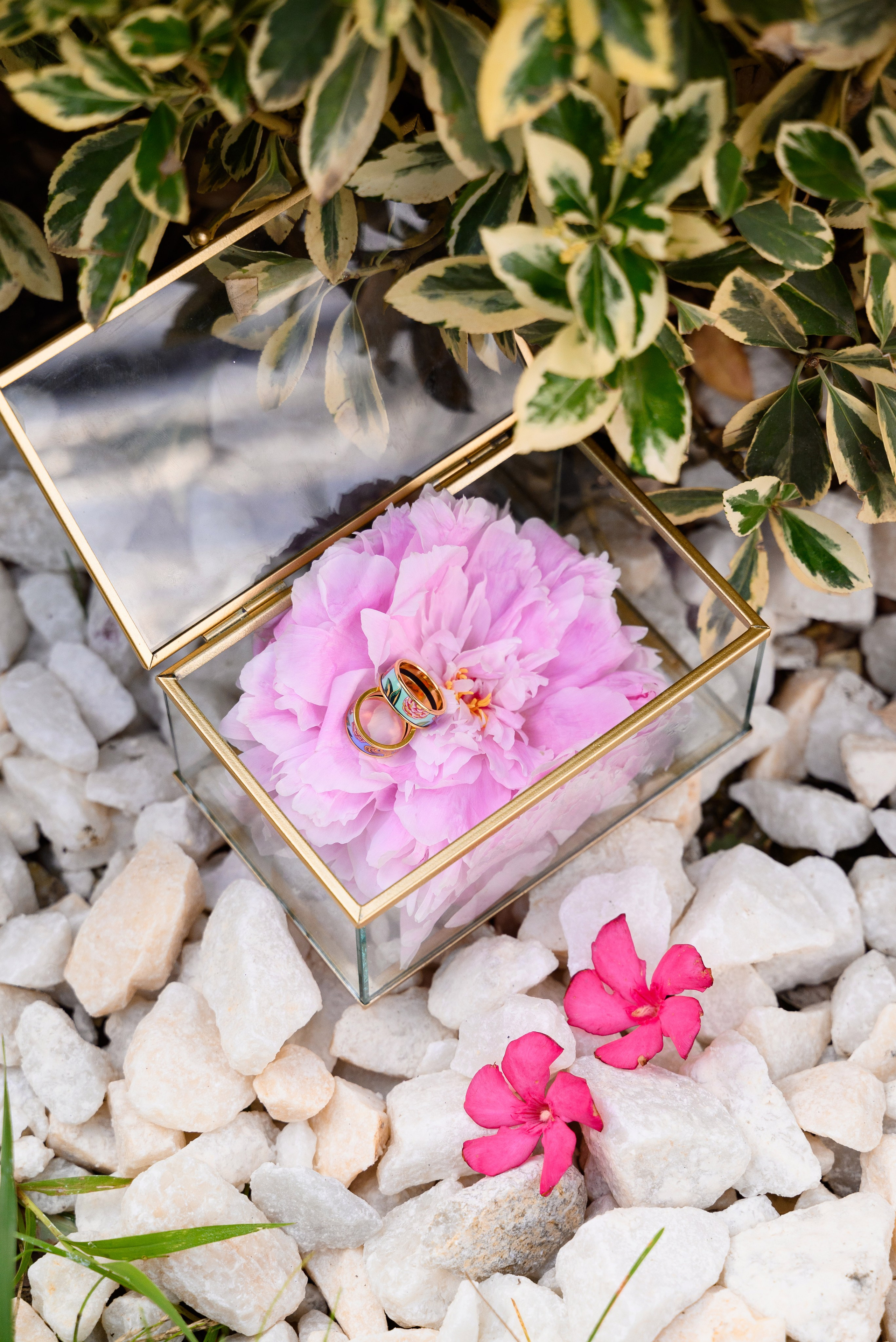 Красивые и стильные свадебные кольца