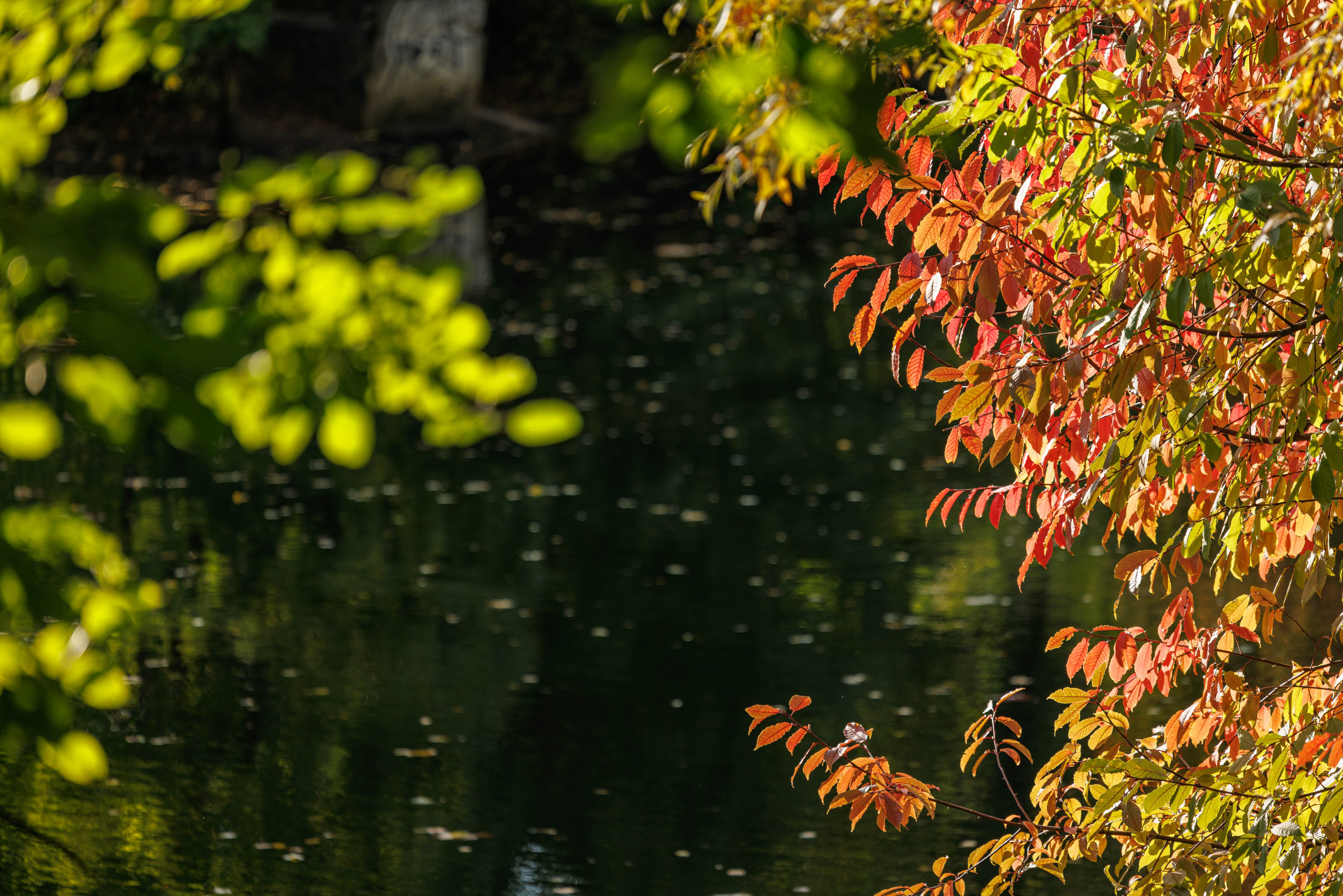 Парк Екатерингоф. Фотограф Балаев Михаил