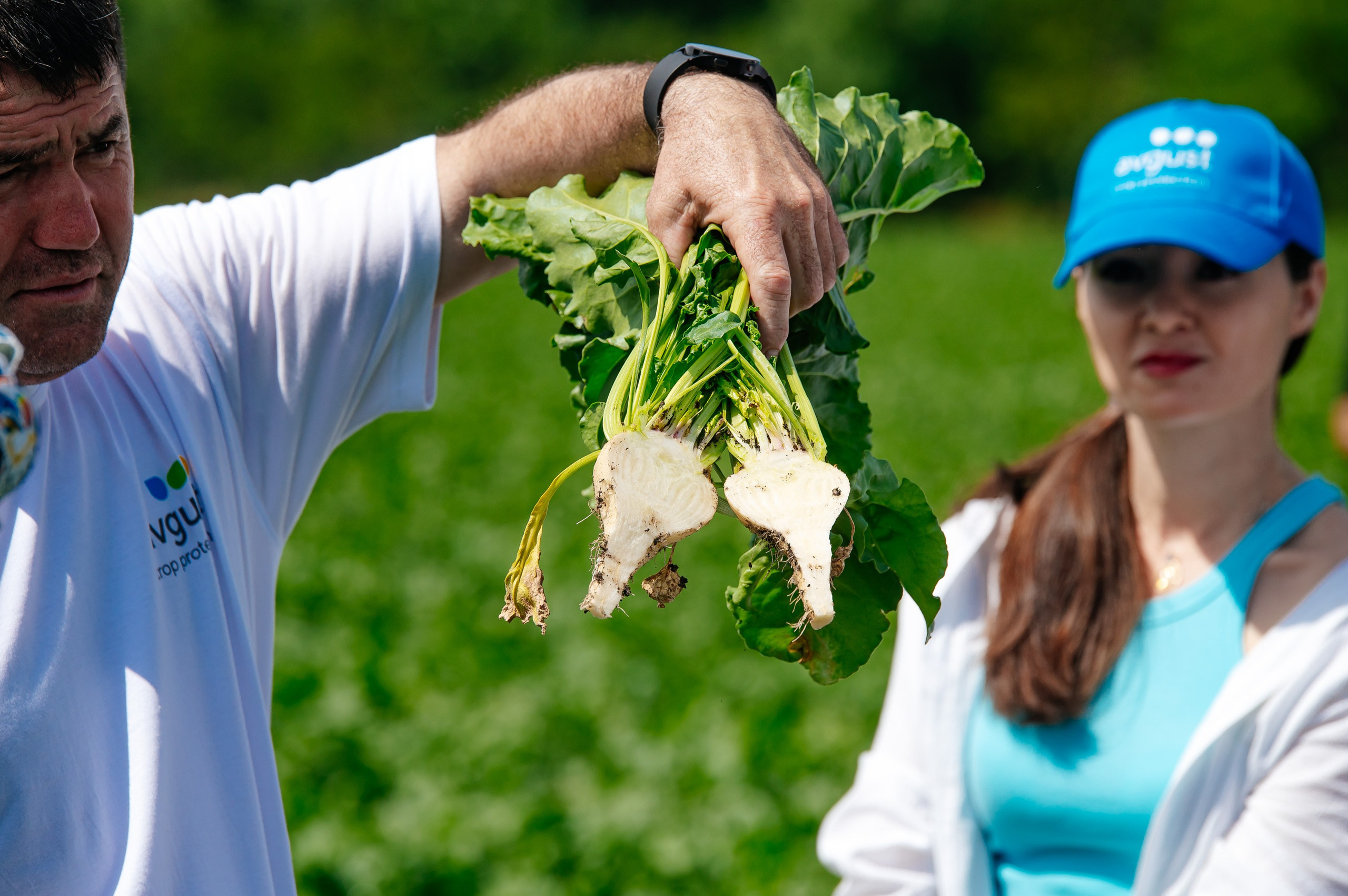 День поля. Главная
