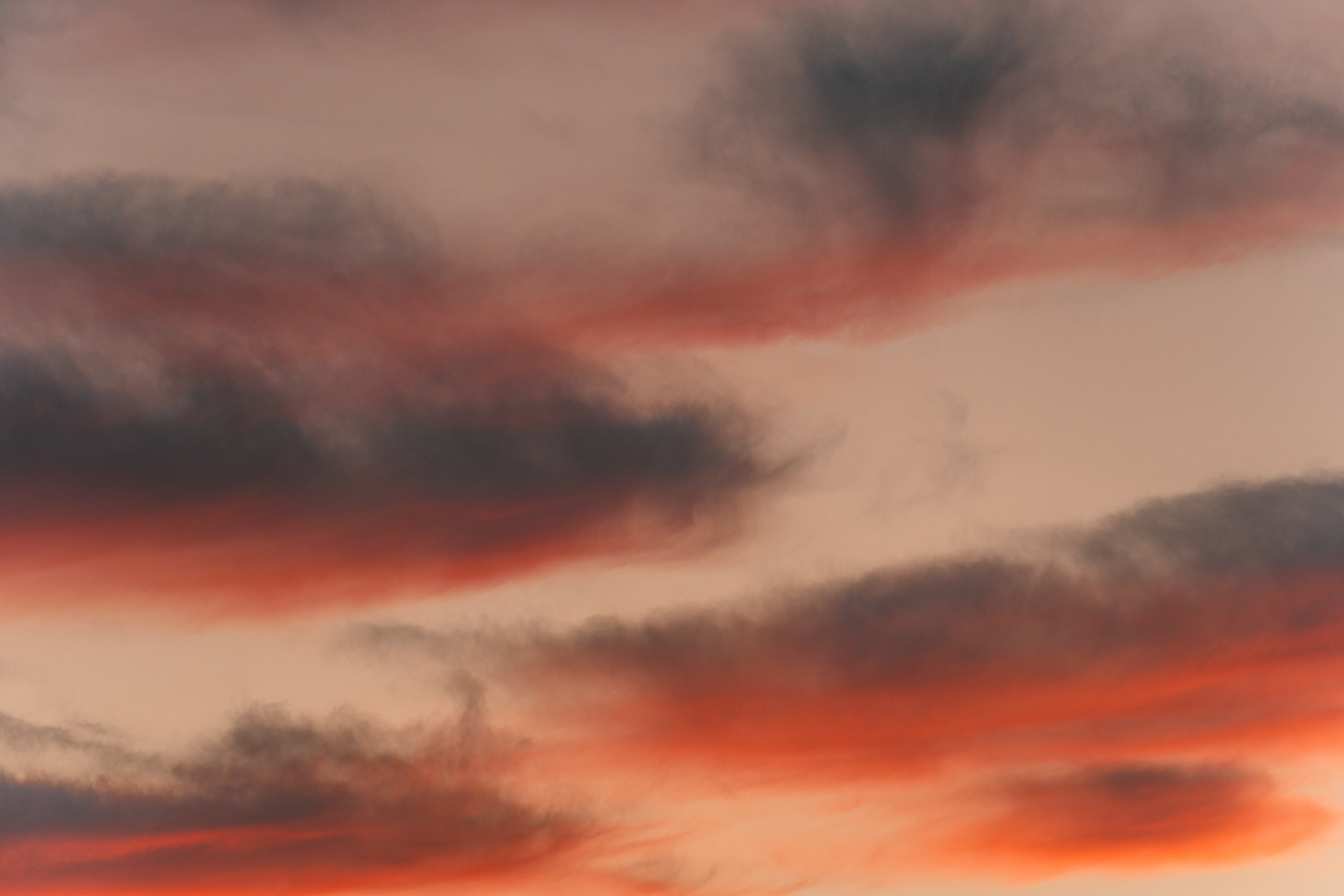 Майхинское хозяйство. Иван Зайцев (IZIART) — создание культурного кода через фото и видео