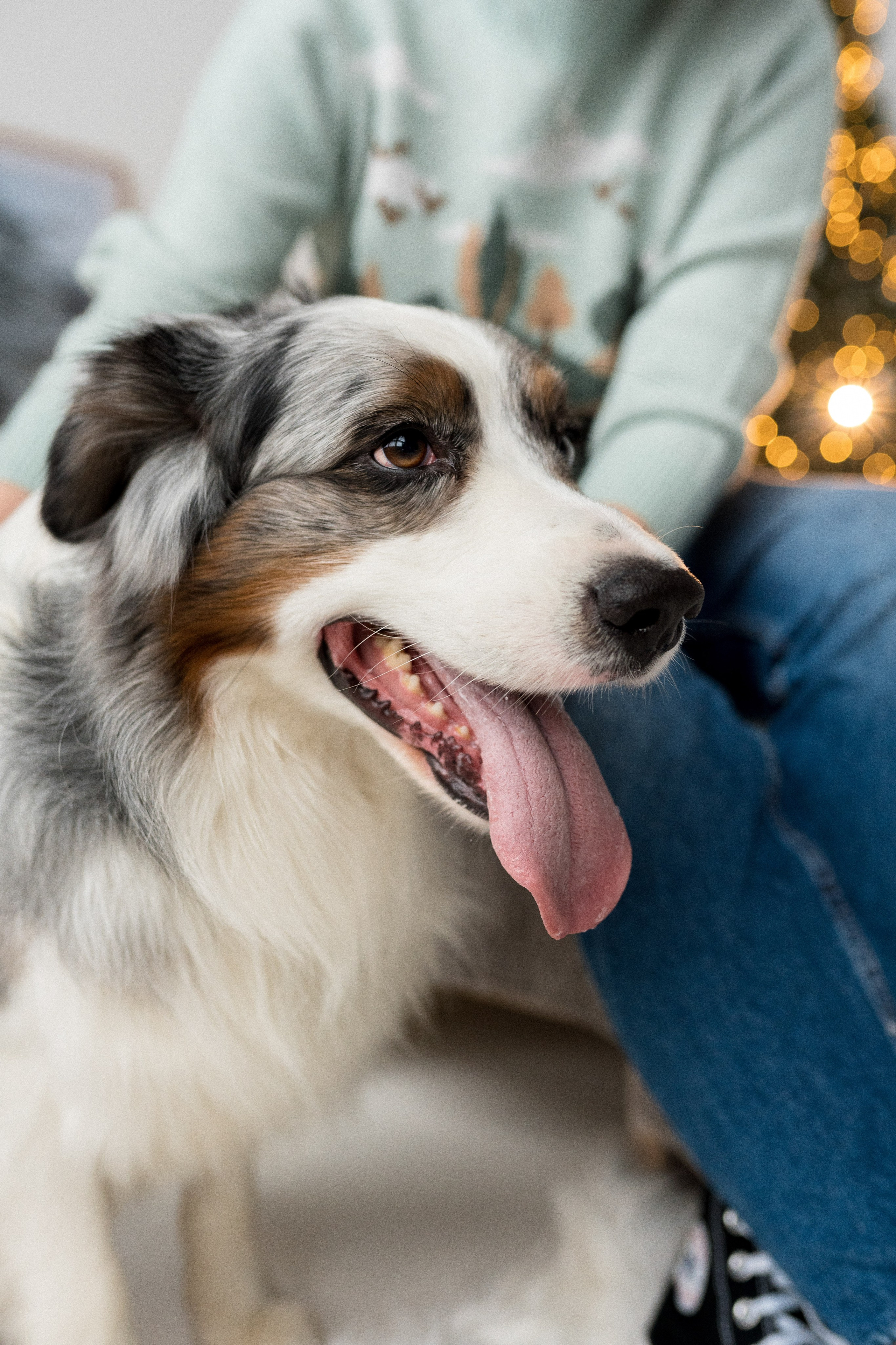Новогоднее студия. Свадебный фотограф в Москве Анна Полушина