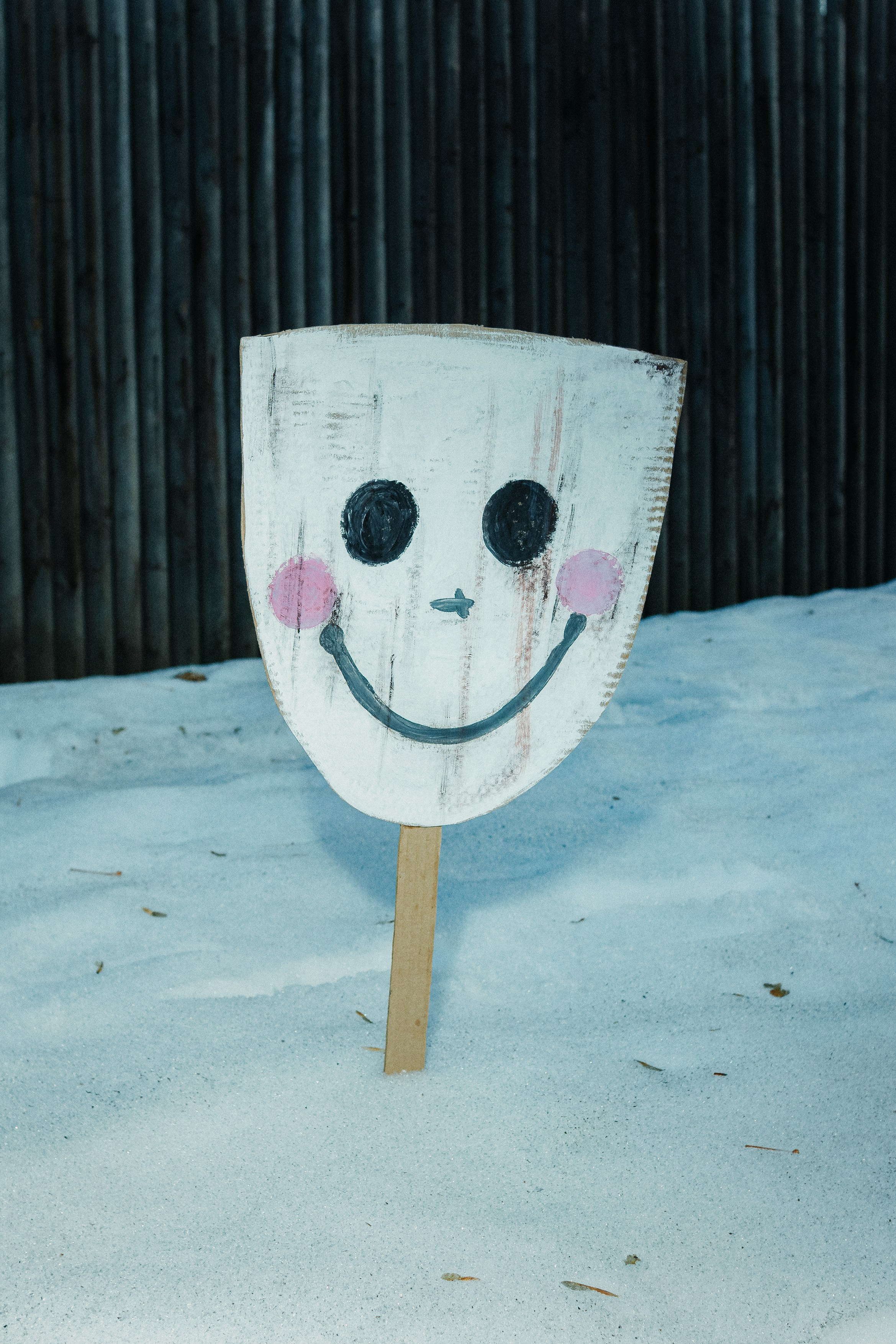 Маска. Светлана Аброщикова