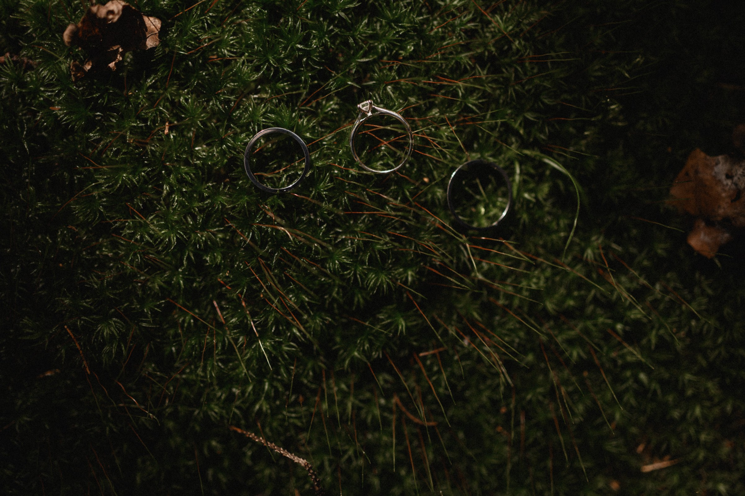 Свадебный и семейный фотограф в Ростове-на-Дону