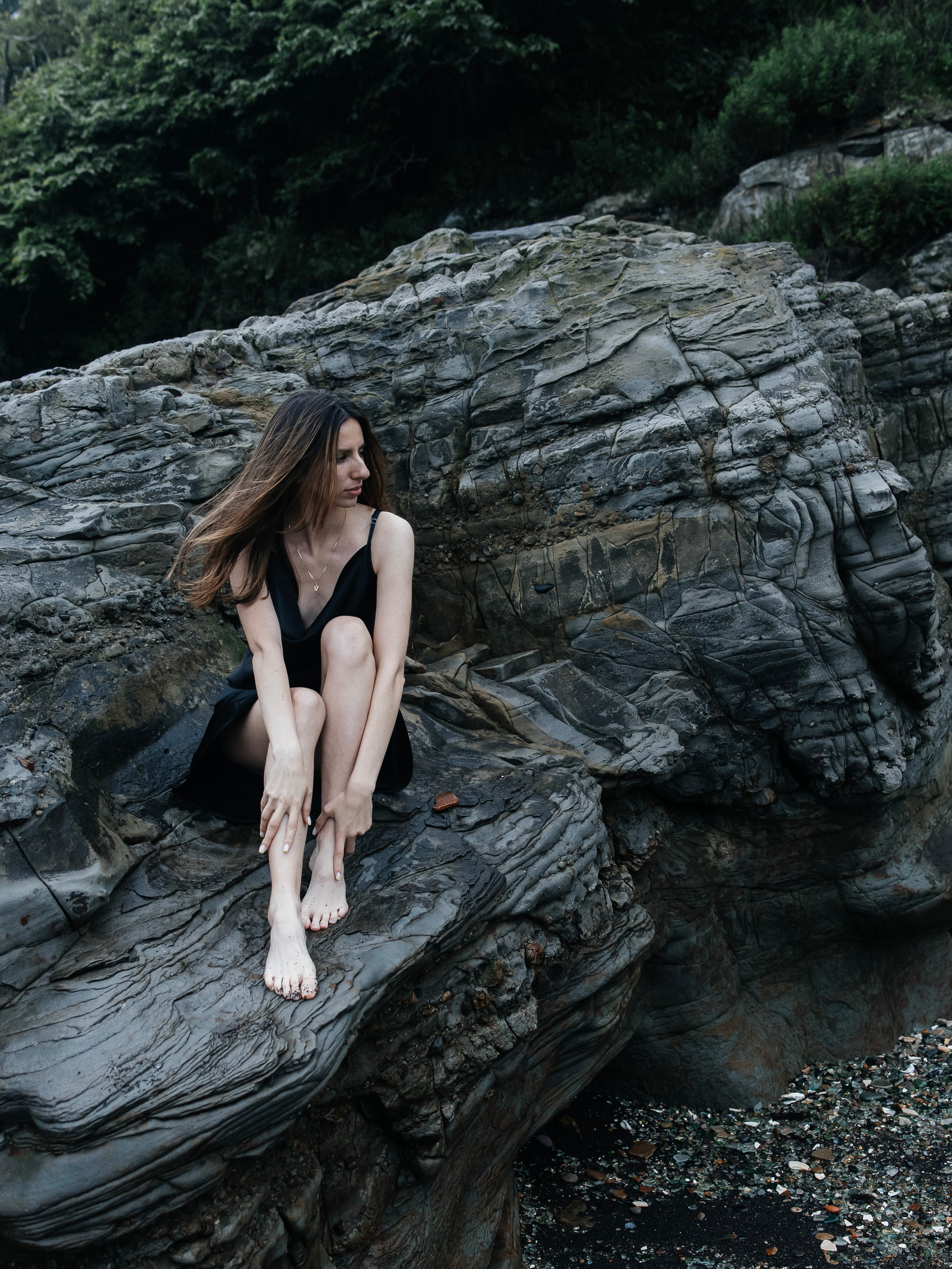 Лев и Виолетта. Главная