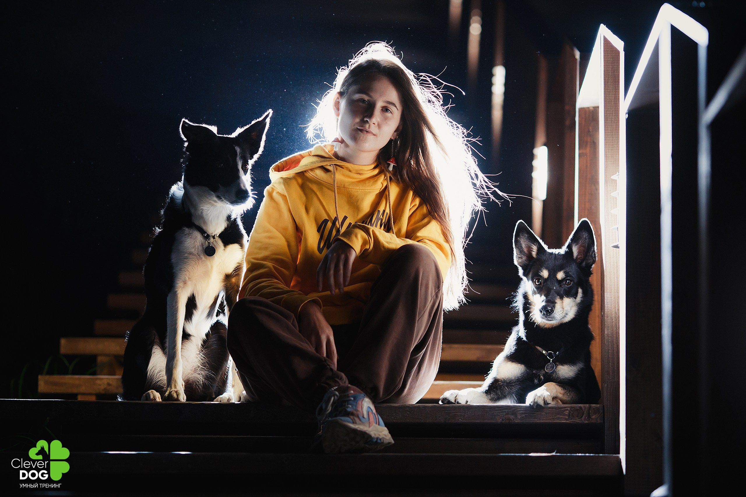 Кинологический лагерь CleverDog, 2024. Фотограф-анималист Mary Mart — Москва, Питер