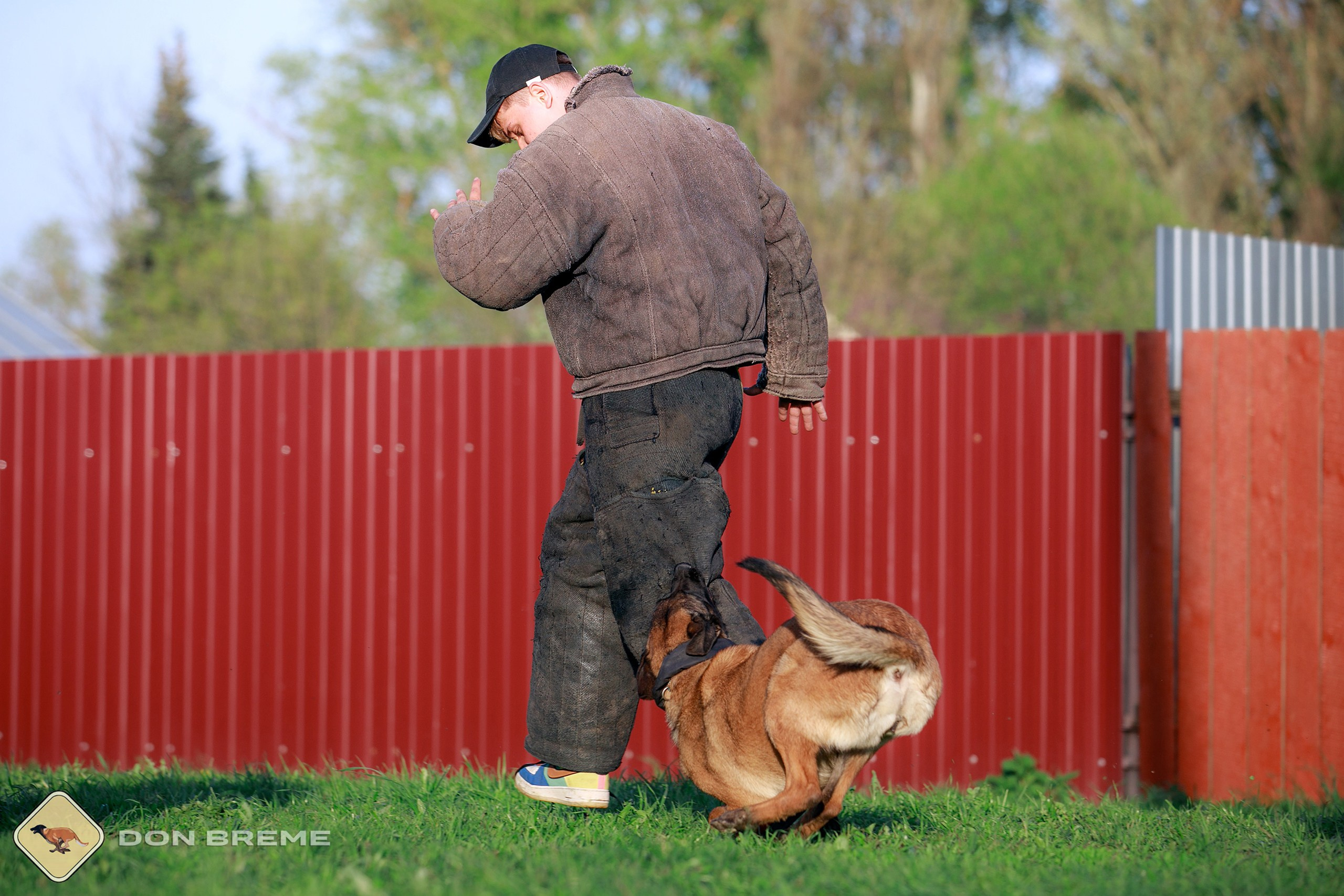 Семинар для фигурантов, день 4. Фотограф-анималист Mary Mart — Москва, Питер