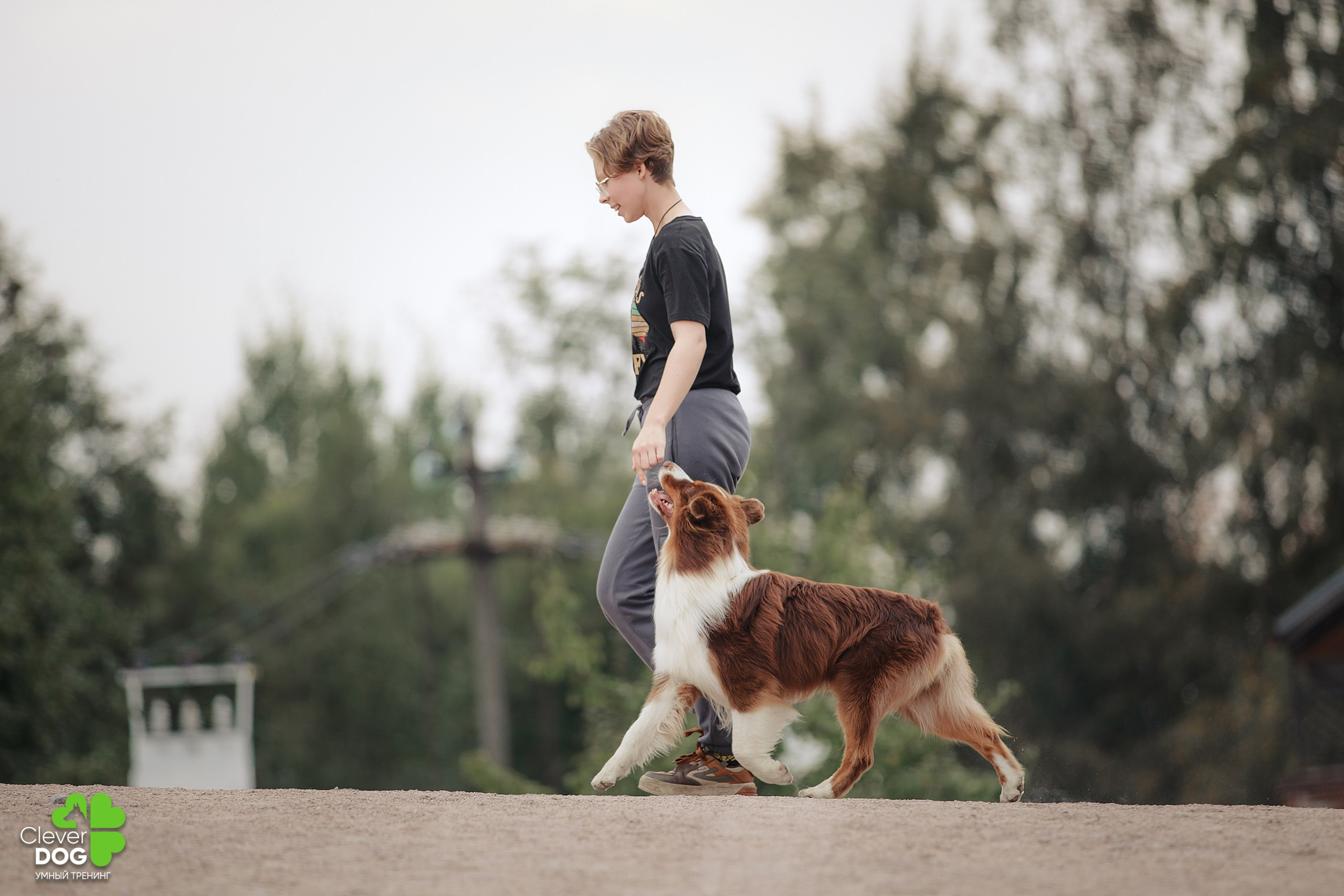 Кинологический лагерь CleverDog, 2024. Фотограф-анималист Mary Mart — Москва, Питер