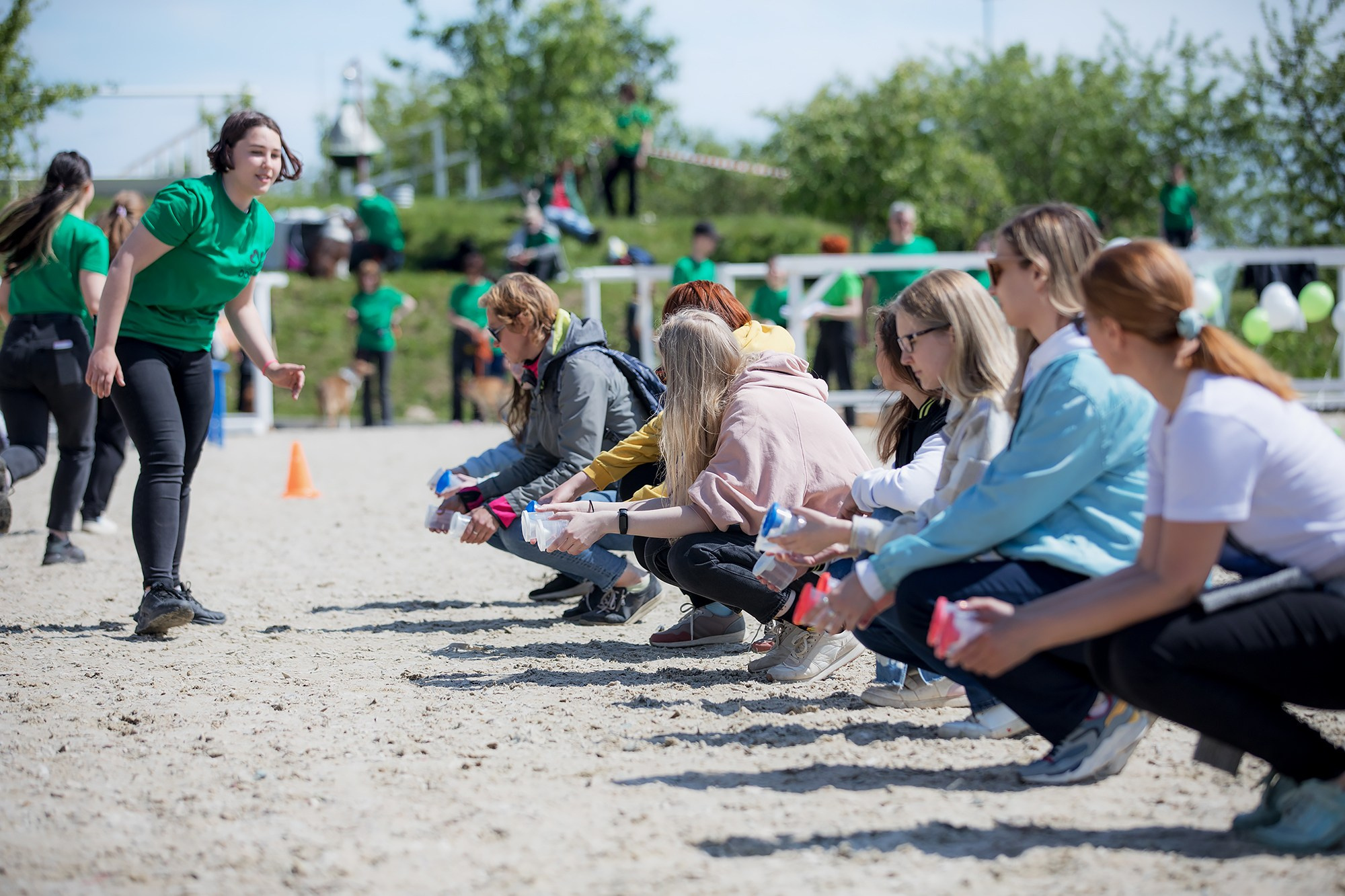 Показательные выступления по NoseWork на выставке «Россия». Фотограф-анималист Mary Mart — Москва, Питер
