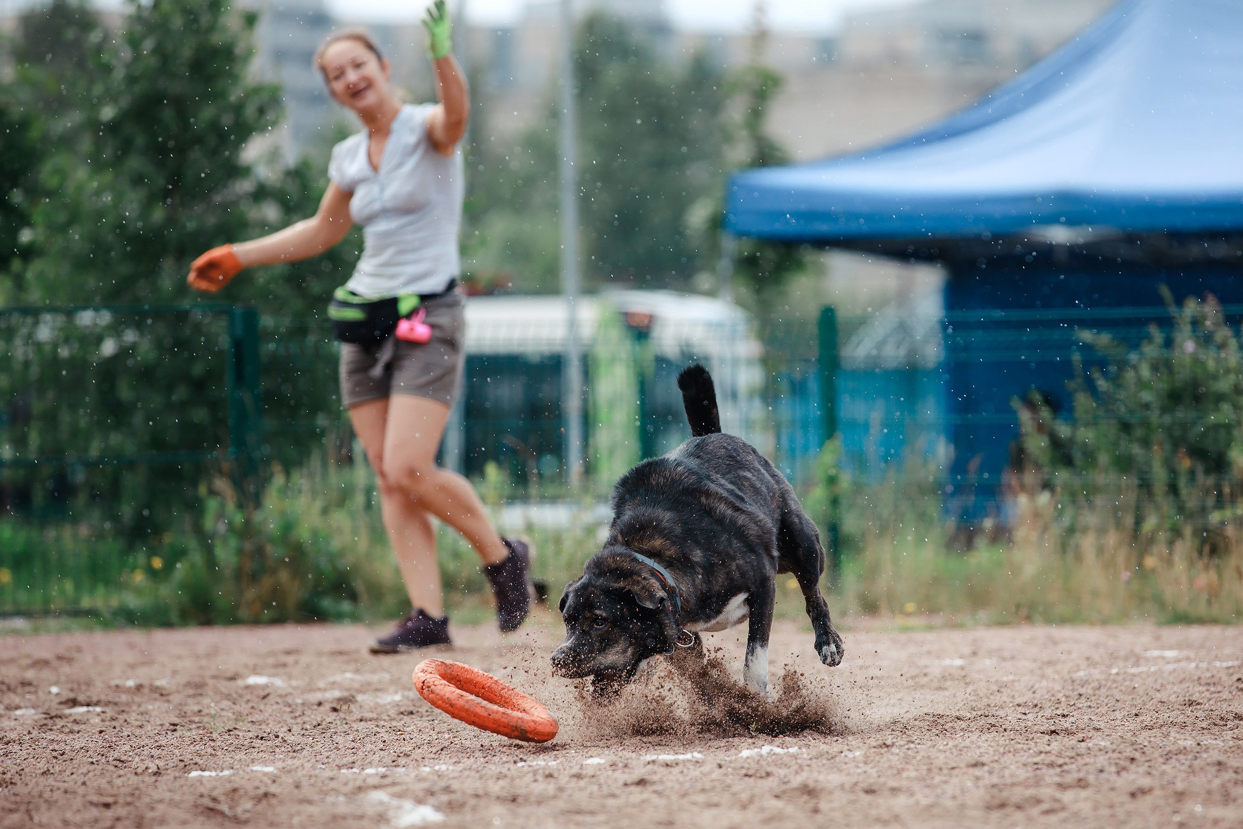 Питч&Гоу + веселые старты. Фотограф-анималист Mary Mart — Москва, Питер