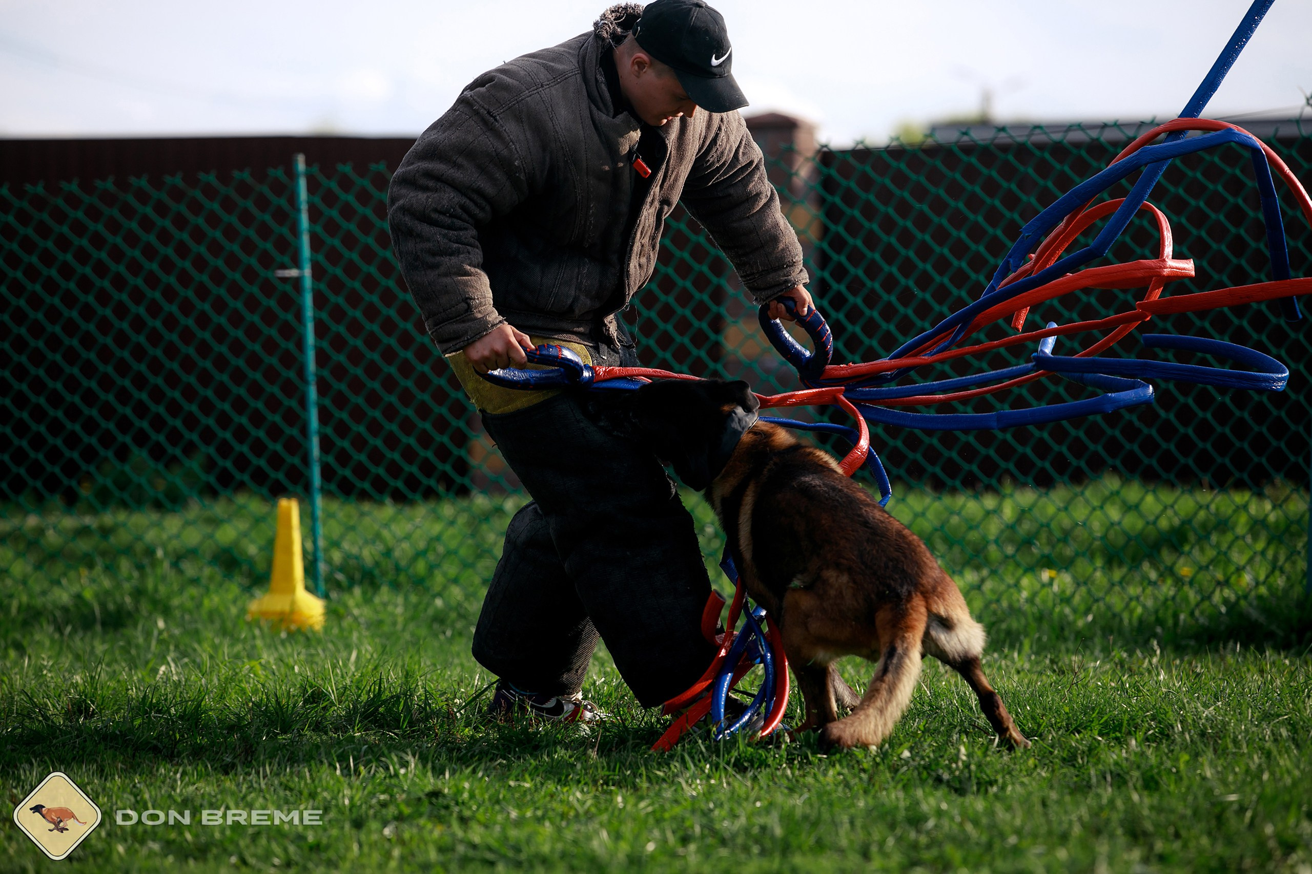 Семинар для фигурантов, день 2. Фотограф-анималист Mary Mart — Москва, Питер