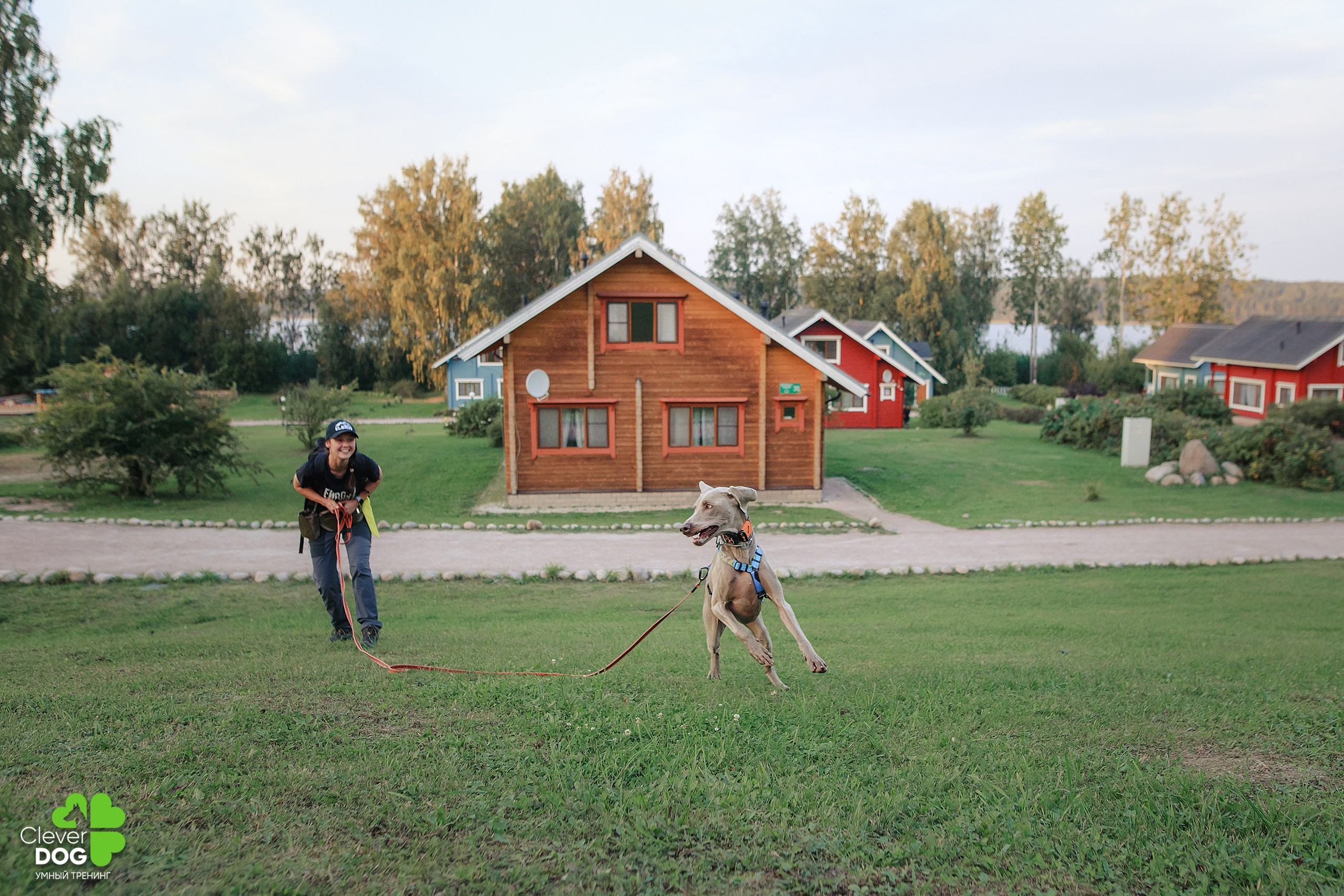 Кинологический лагерь CleverDog, 2024. Фотограф-анималист Mary Mart — Москва, Питер