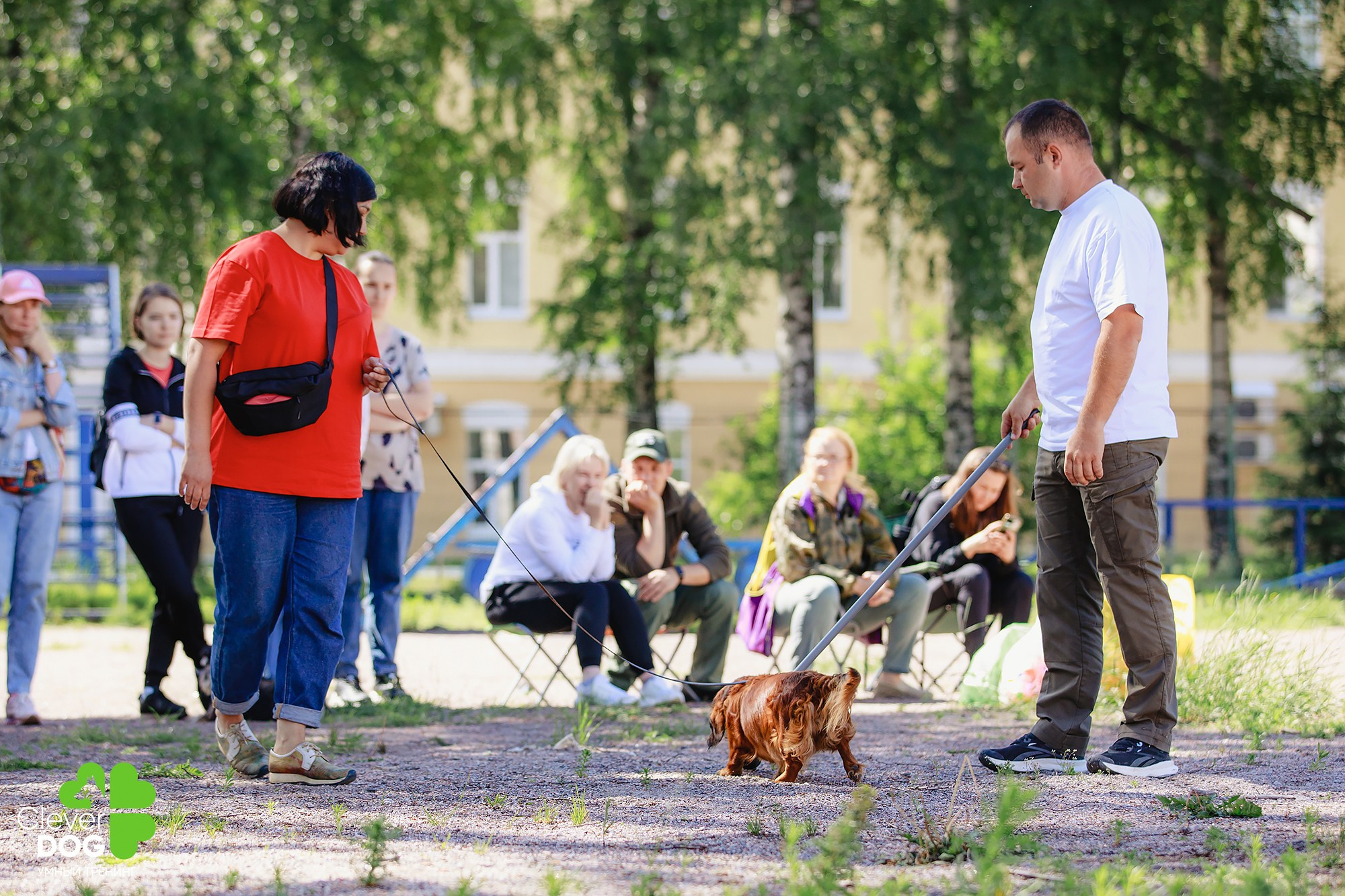 Семинар по поиску запаха с Иваном Ломовым, организатор CleverDog, СПб. Фотограф-анималист Mary Mart — Москва, Питер