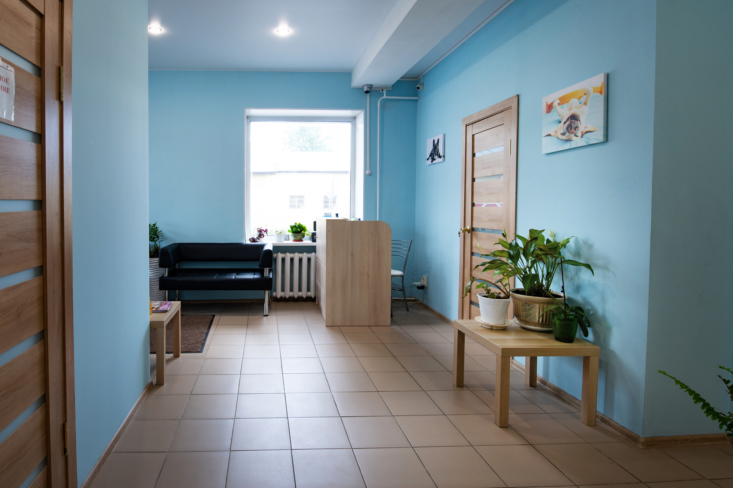 Интерьерная фотосъёмка. Фуд и предметный фотограф Сергей Антонов Санкт-Петербург