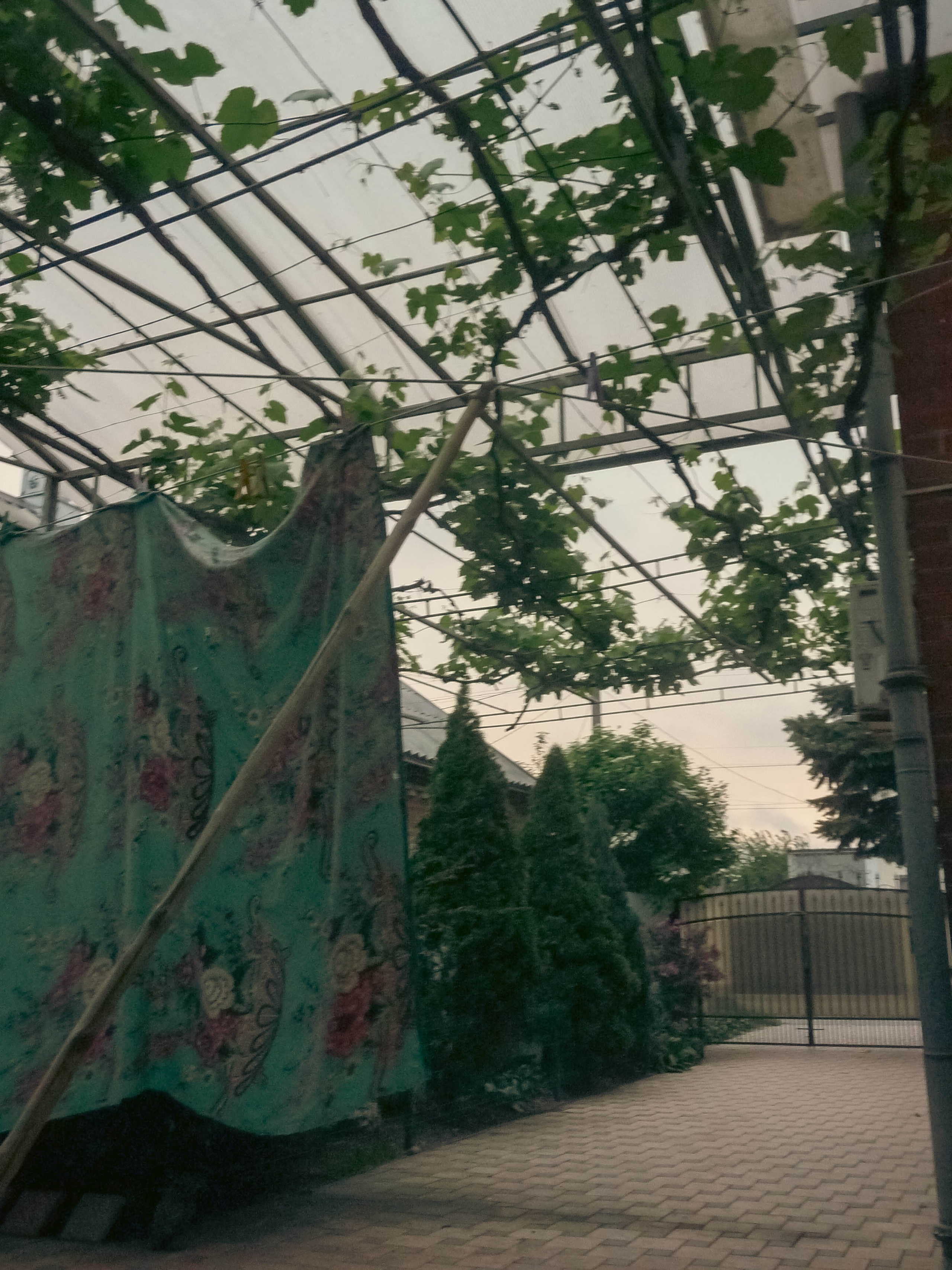 Внутри. Фотограф Анастасия Лощакова в Москве