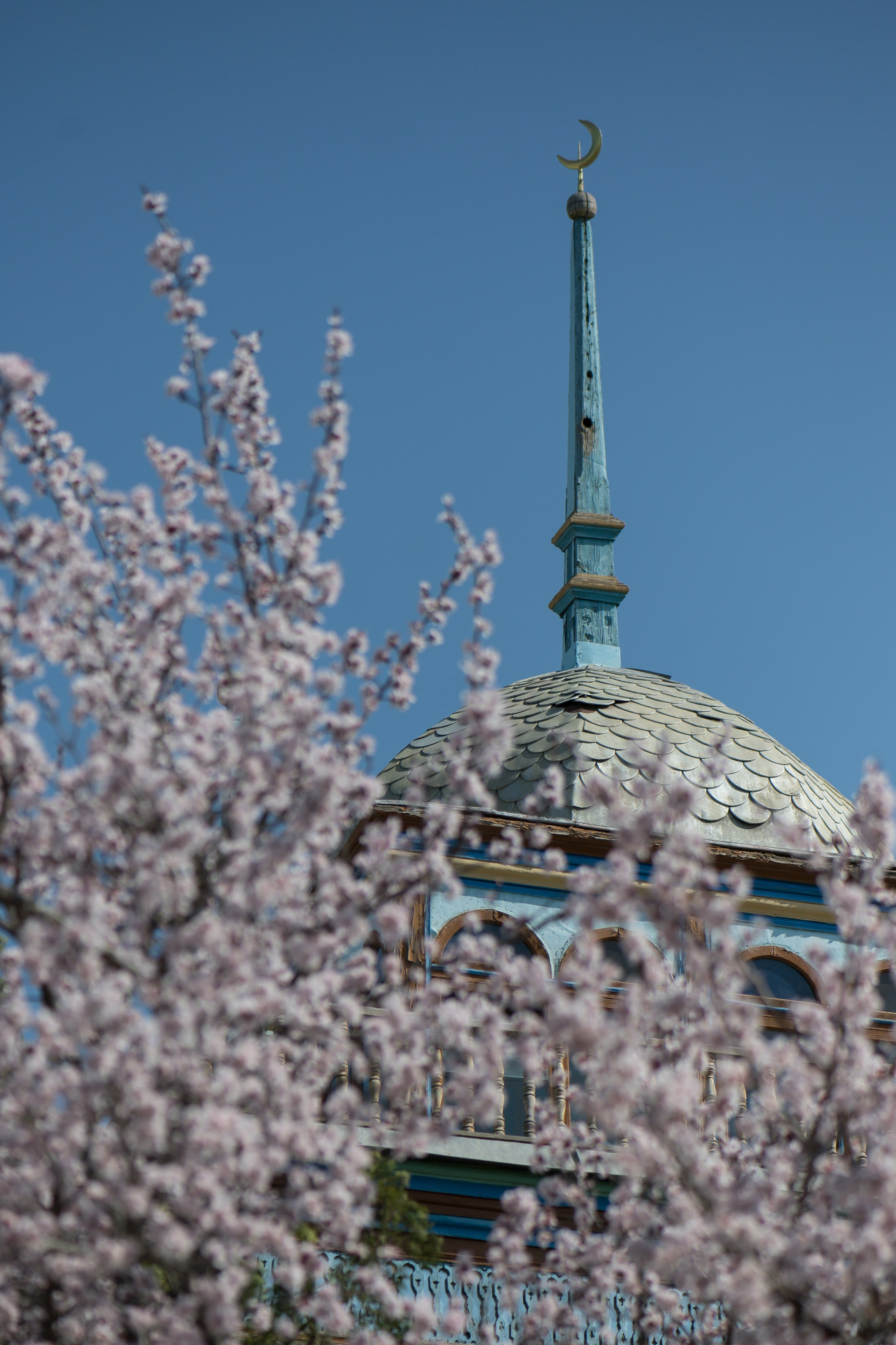 Узбекистан в марте. Люди. Юлия Розанова, коммерческий фоторепортаж в Москве