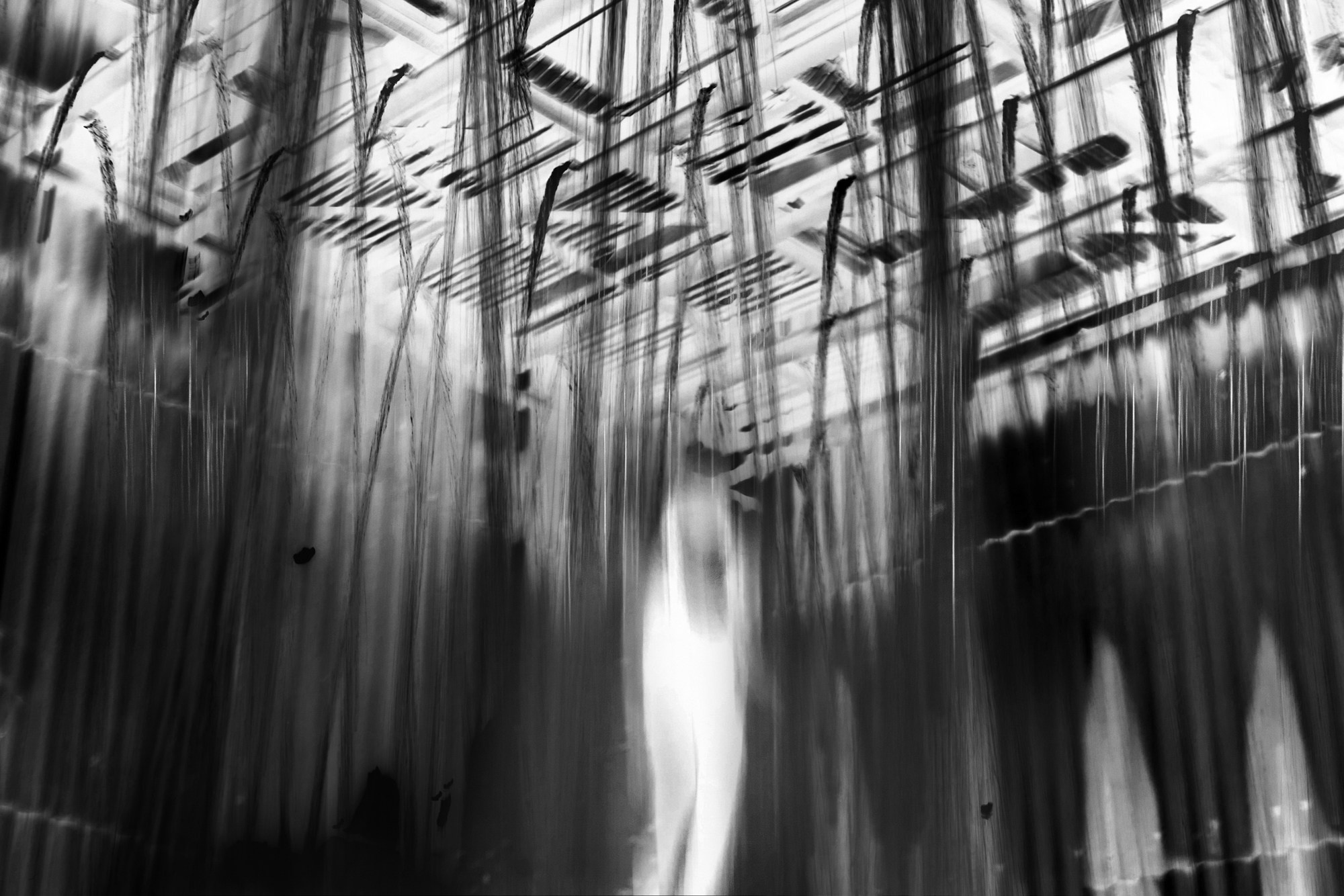 Teplushka project. Янина болдырева Yanina Boldyreva