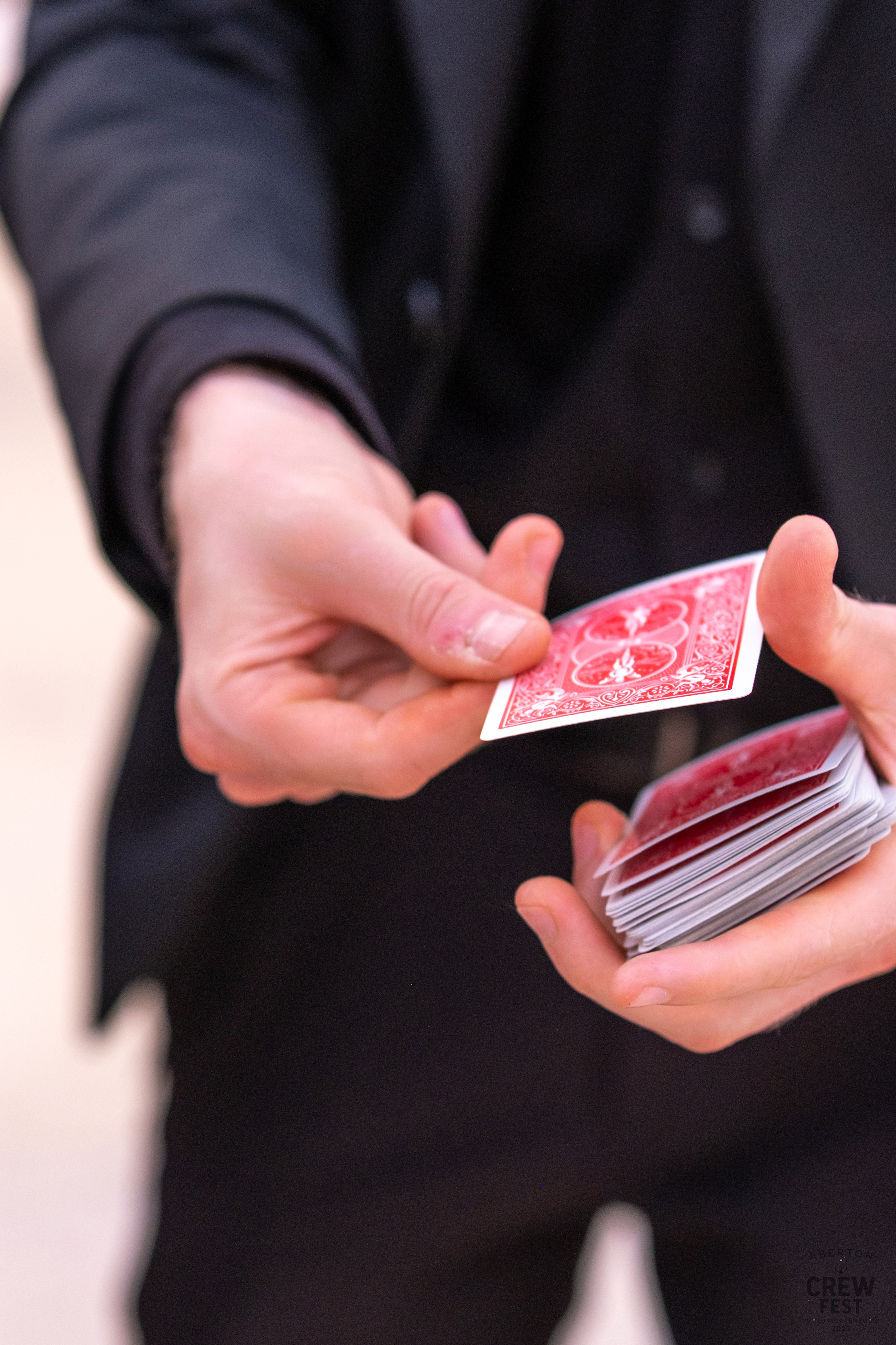 Aberton Crew Fest. Family and wedding photographer in Montenegro