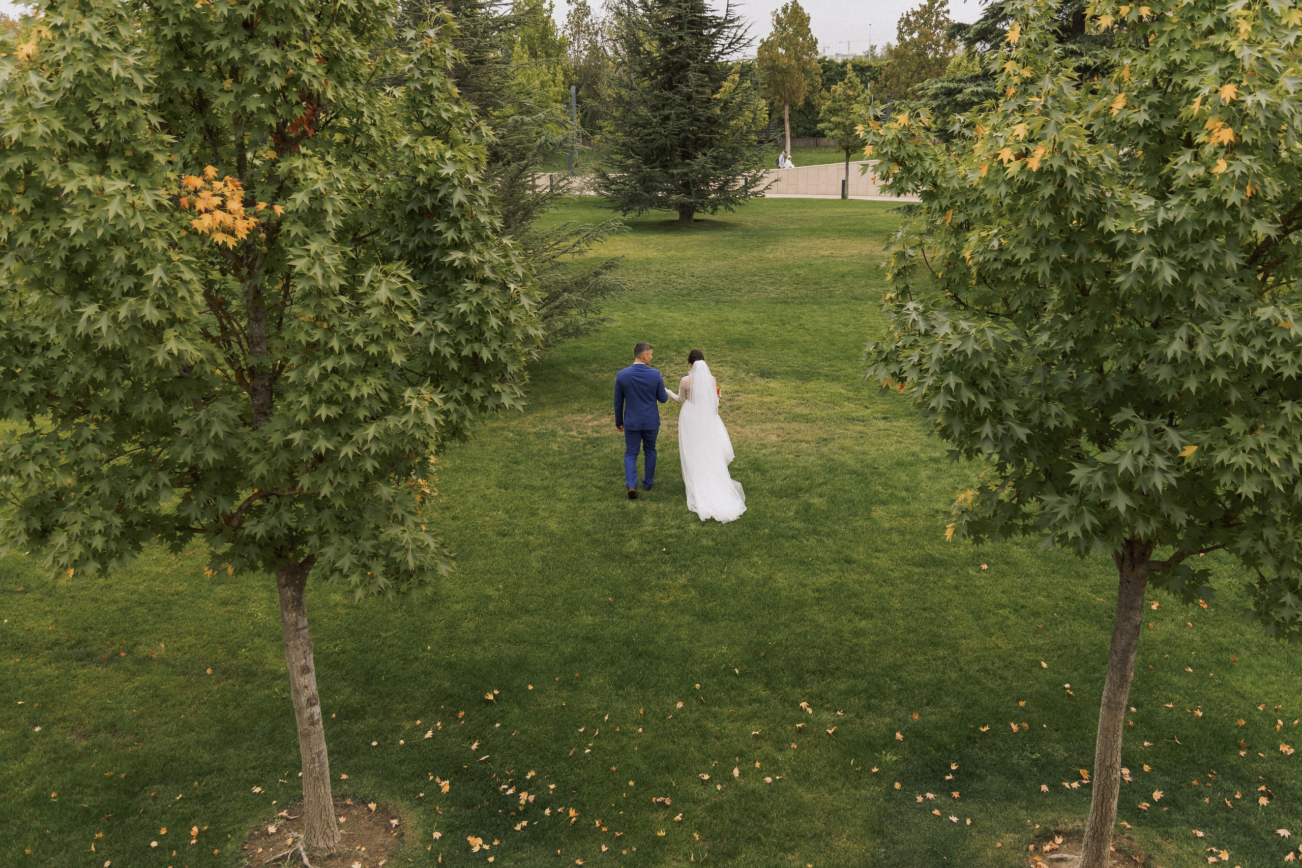 Алексей и Анастасия. Свадебная прогулка. Свадебная фотография. Арина Рубах