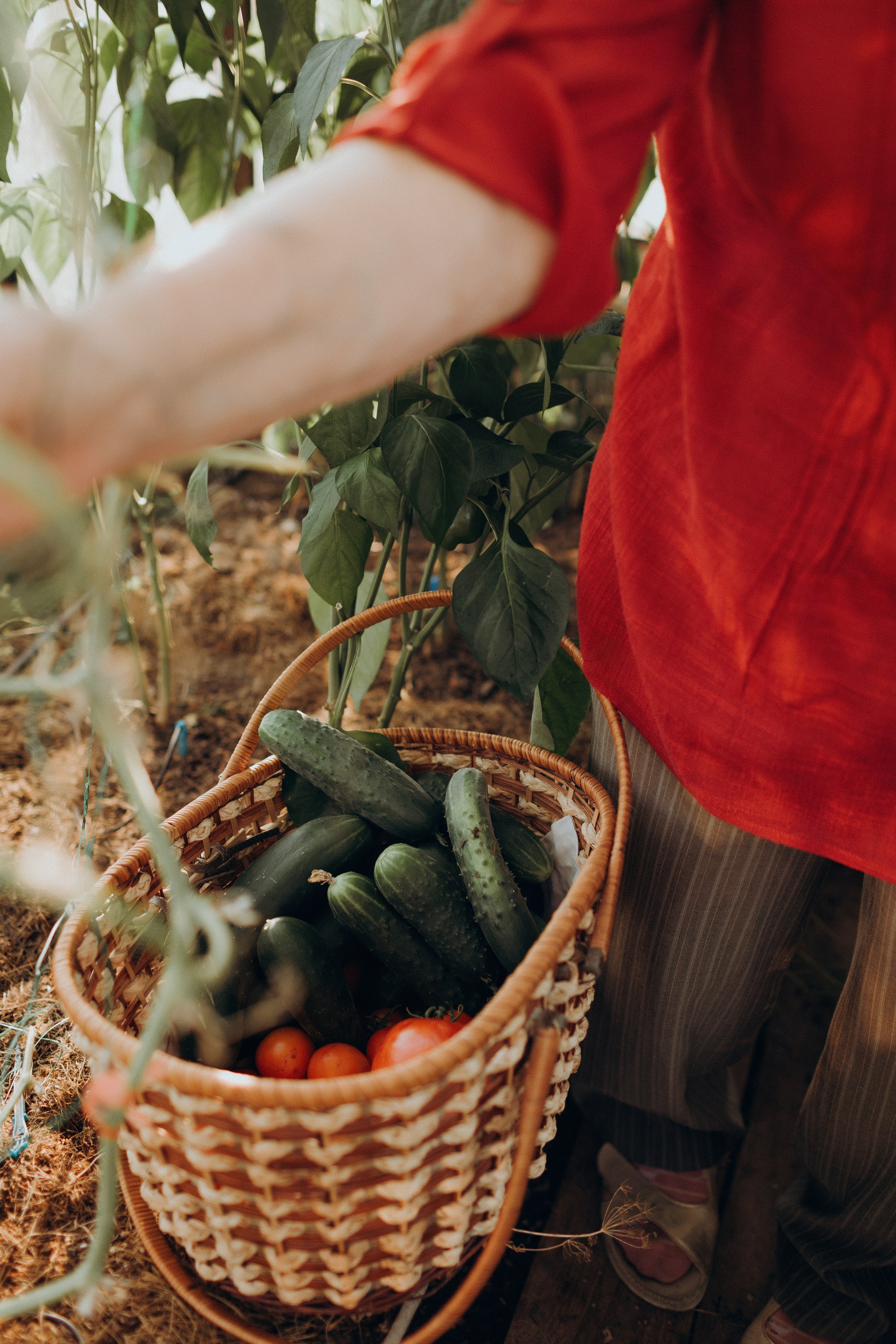 Семейная фотосессия с бабушками и дедушками. Семейный фотограф в Санкт-Петербурге — Лена Тимина