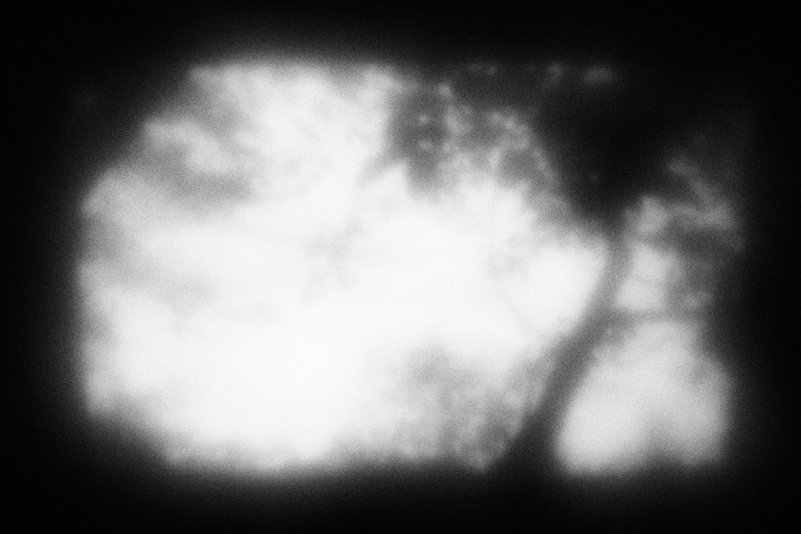 Дилетантские фотографии для заурядных людей