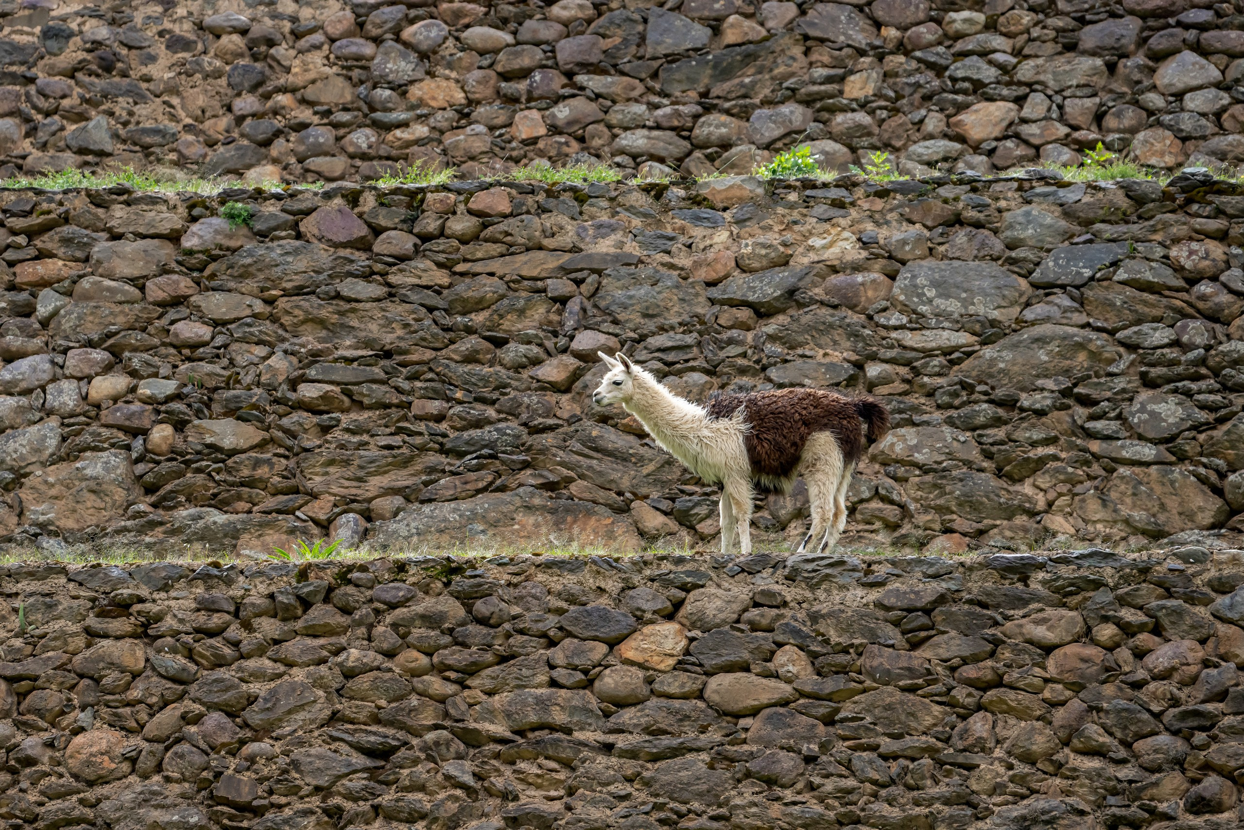 Перу. Foto-Zuev фотография как искусство