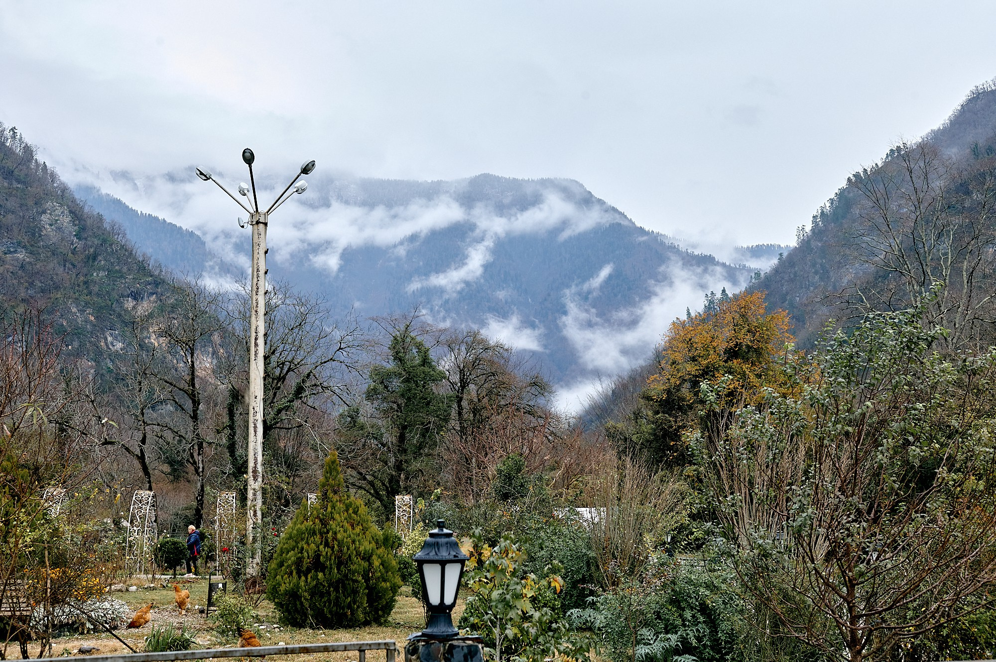 Озеро Рица, Абхазия. Декабрь 2024. Фотографии отовсюду и обо всем