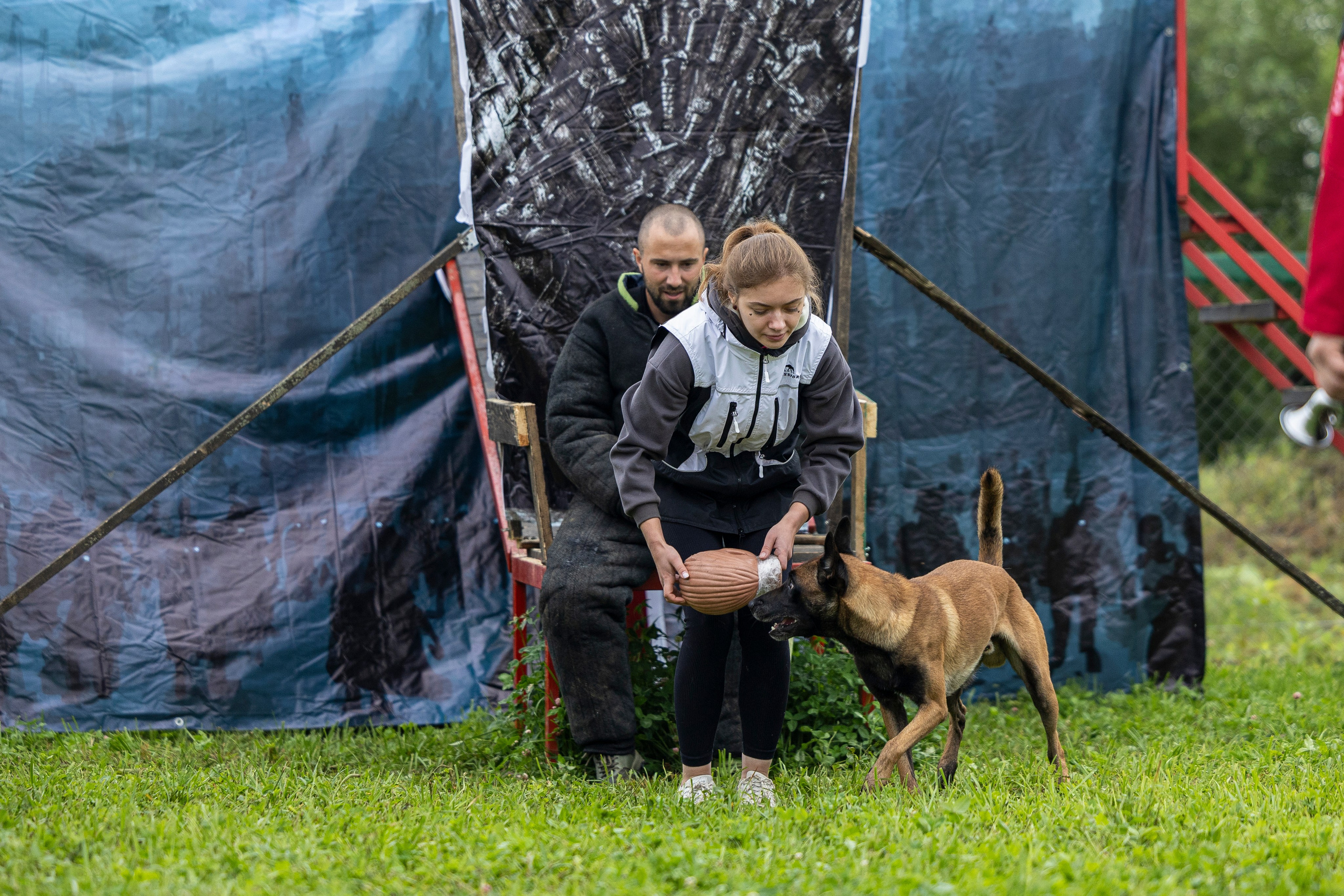 Соревнования по Мондьорингу г. Вологда 10-11.08.2024. Фотограф-анималист Анна Маринич