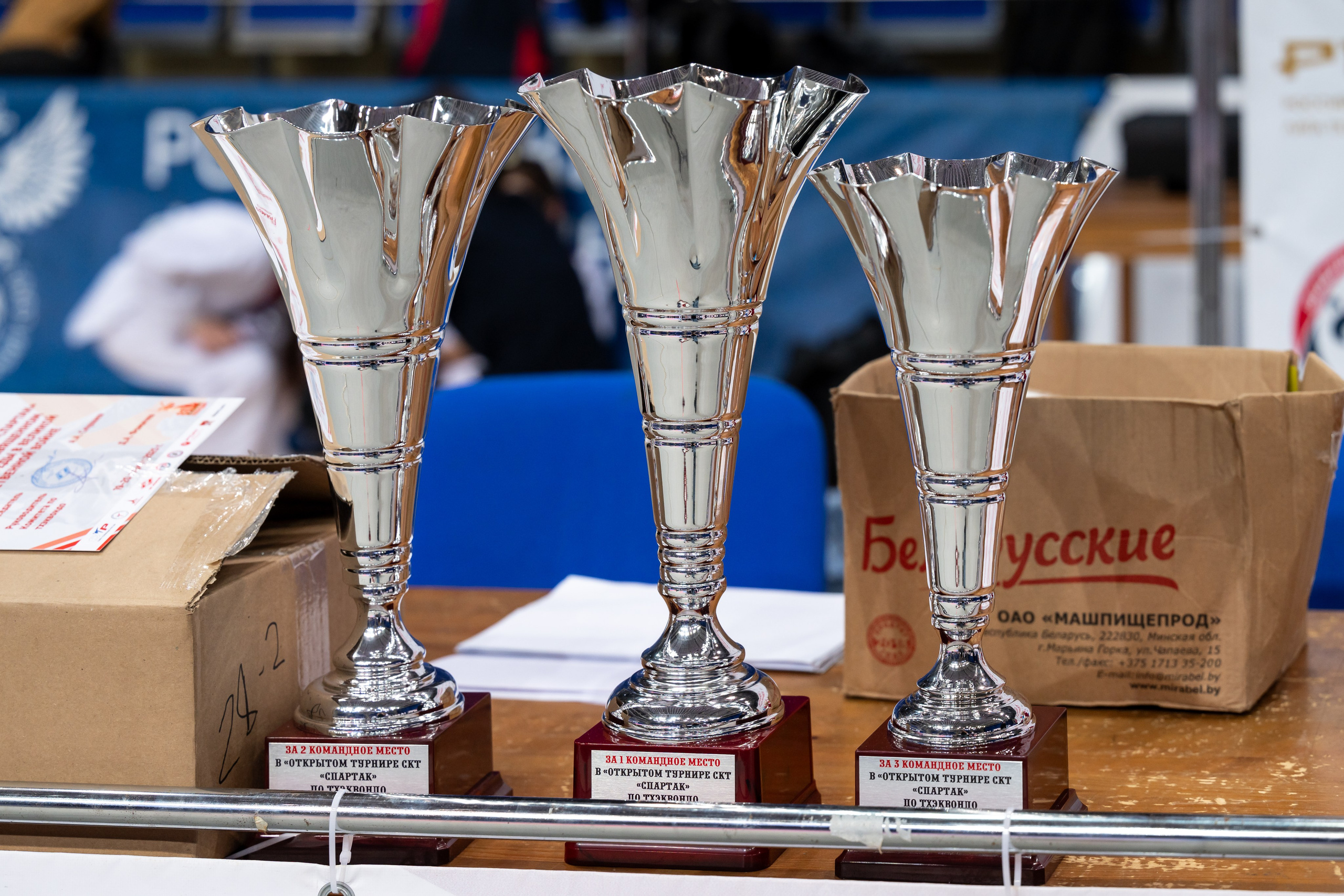 Турнир по Тхэквандо