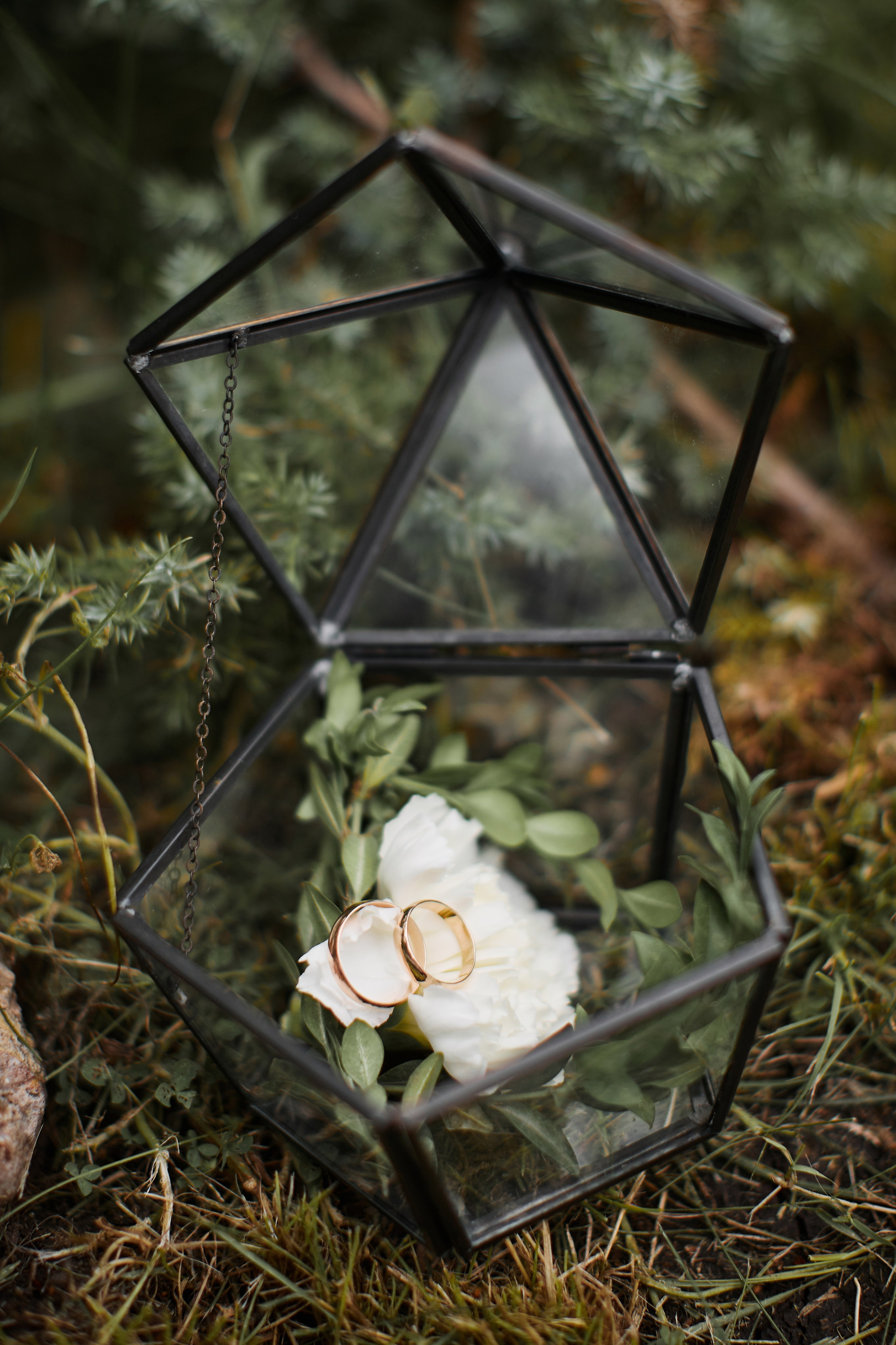 Костя и Елена. Ваш фотограф Антон Колташов город Курган Тюмень Челябинск Екатеринбург