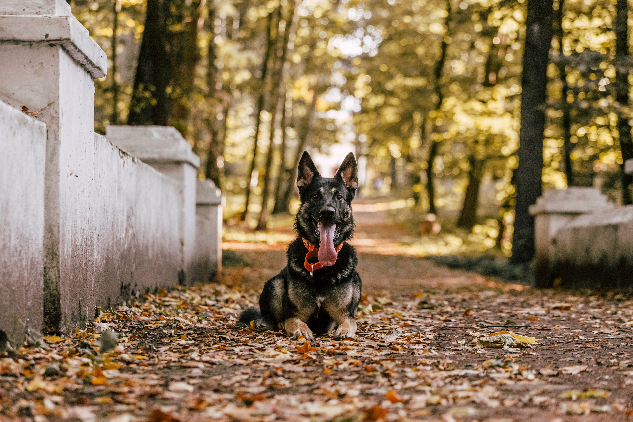 Илай. Фотограф-анималист Татьяна Степанова