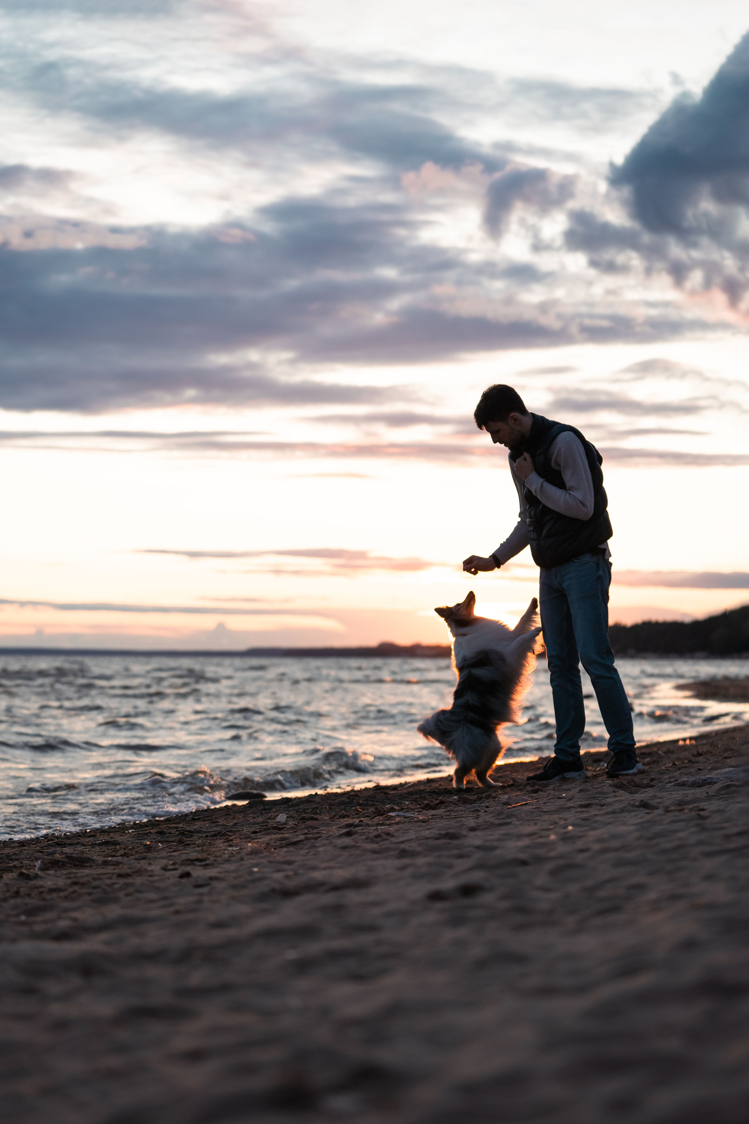 Лесная Элис. Фотограф анималист