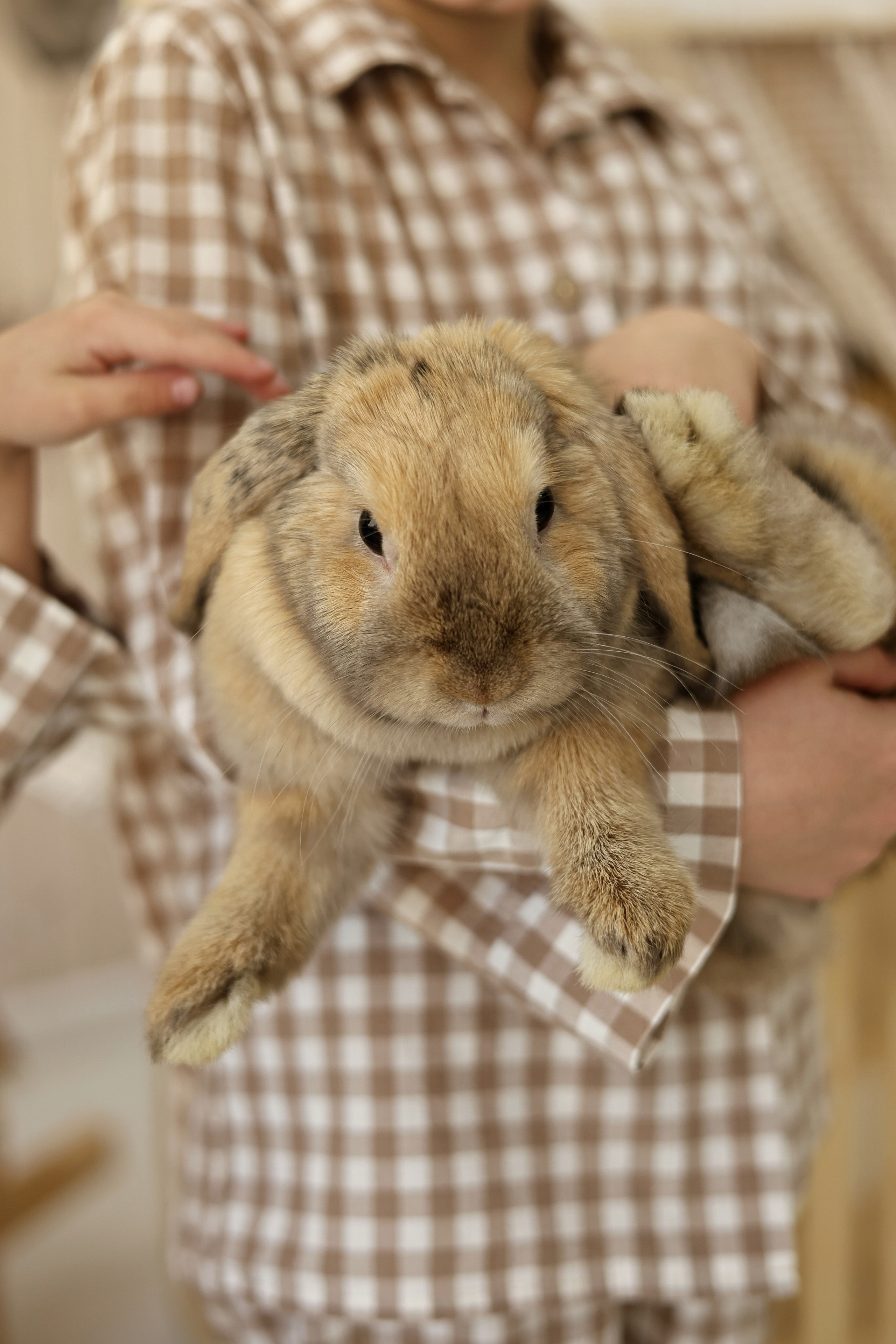 Семья Савелия и Тимофея. Свадебный и семейный фотограф в Воронеже Ксения Воротникова