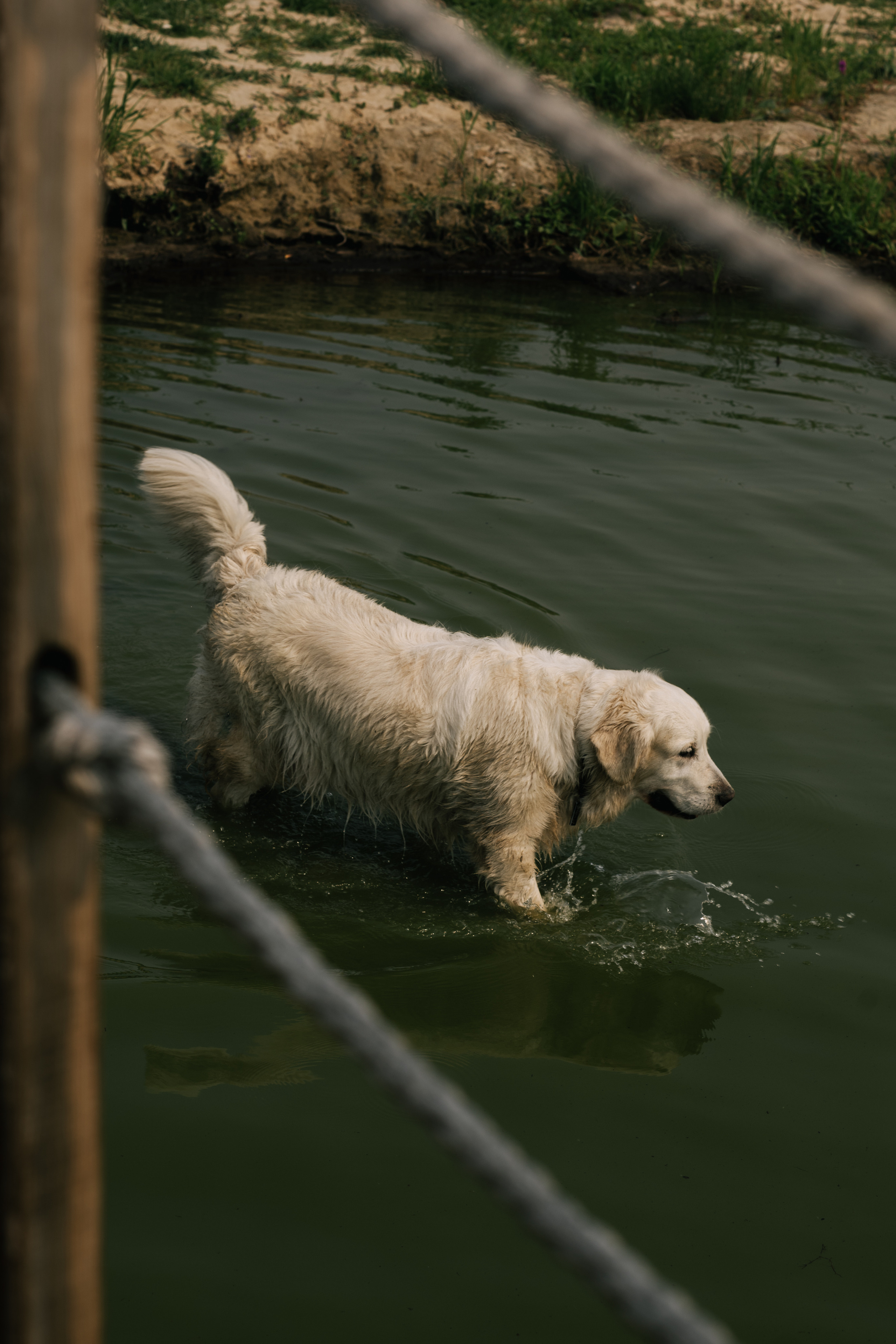 Морелеса. Репортажный фотограф в Тюмени Татьяна Мужева