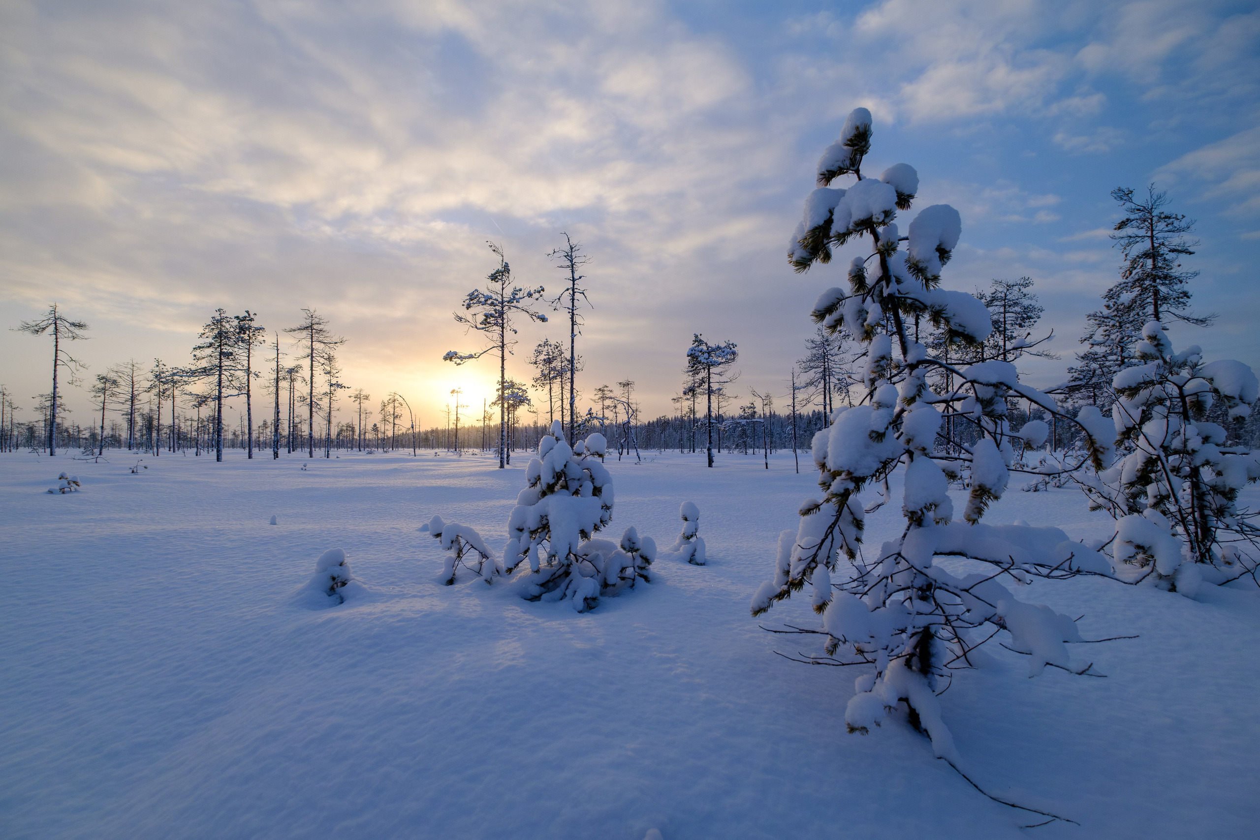 Пейзаж. Портретный фотограф Виктор Льерена