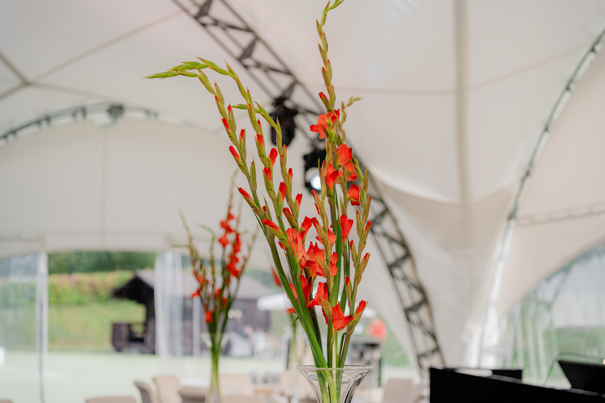 ООО «Химсервис» 30 лет. Фотограф в Туле и области Константин Гудовичев