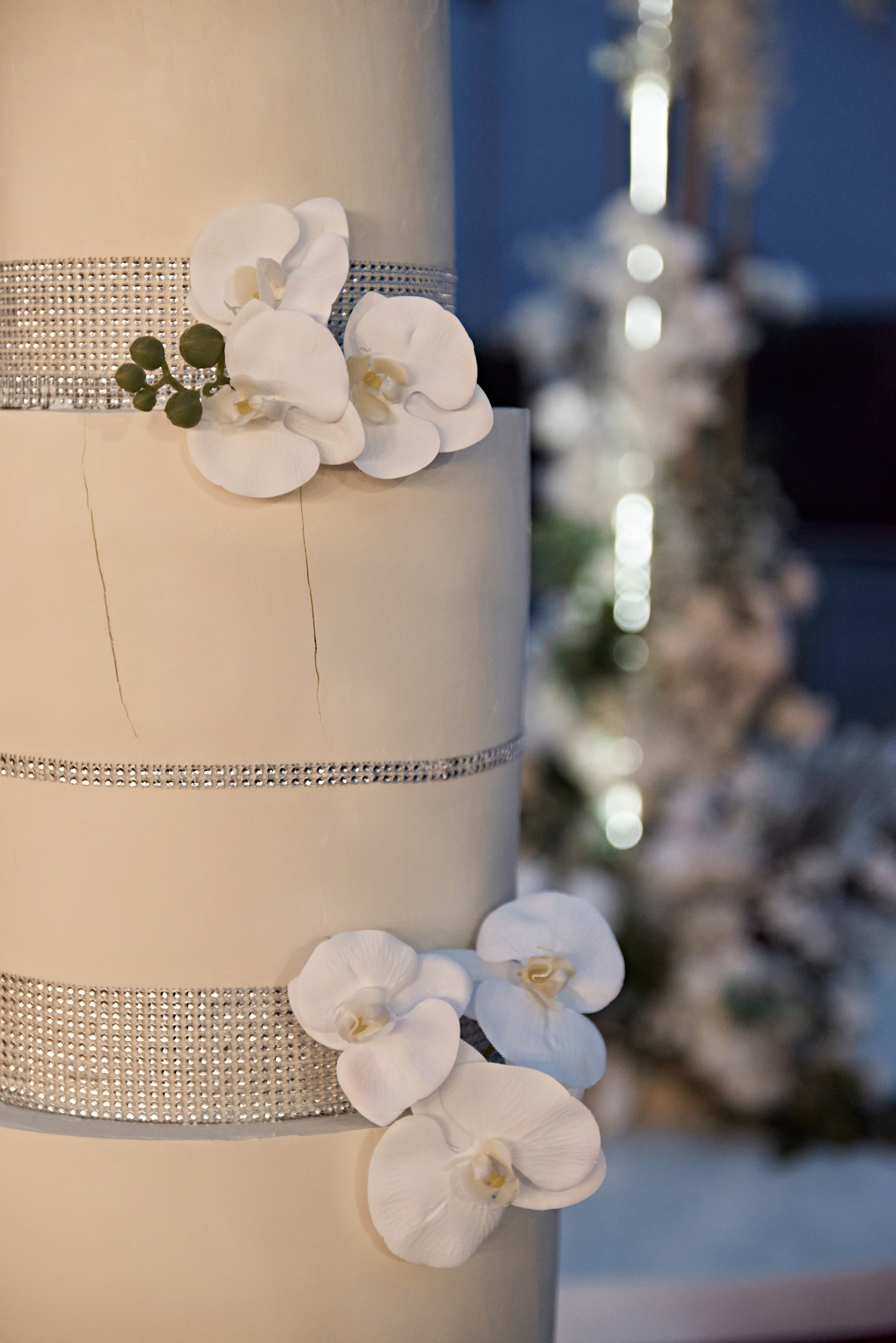 25.05. 24 Артур и Катя. Свадебный фотограф Юлия Гусева