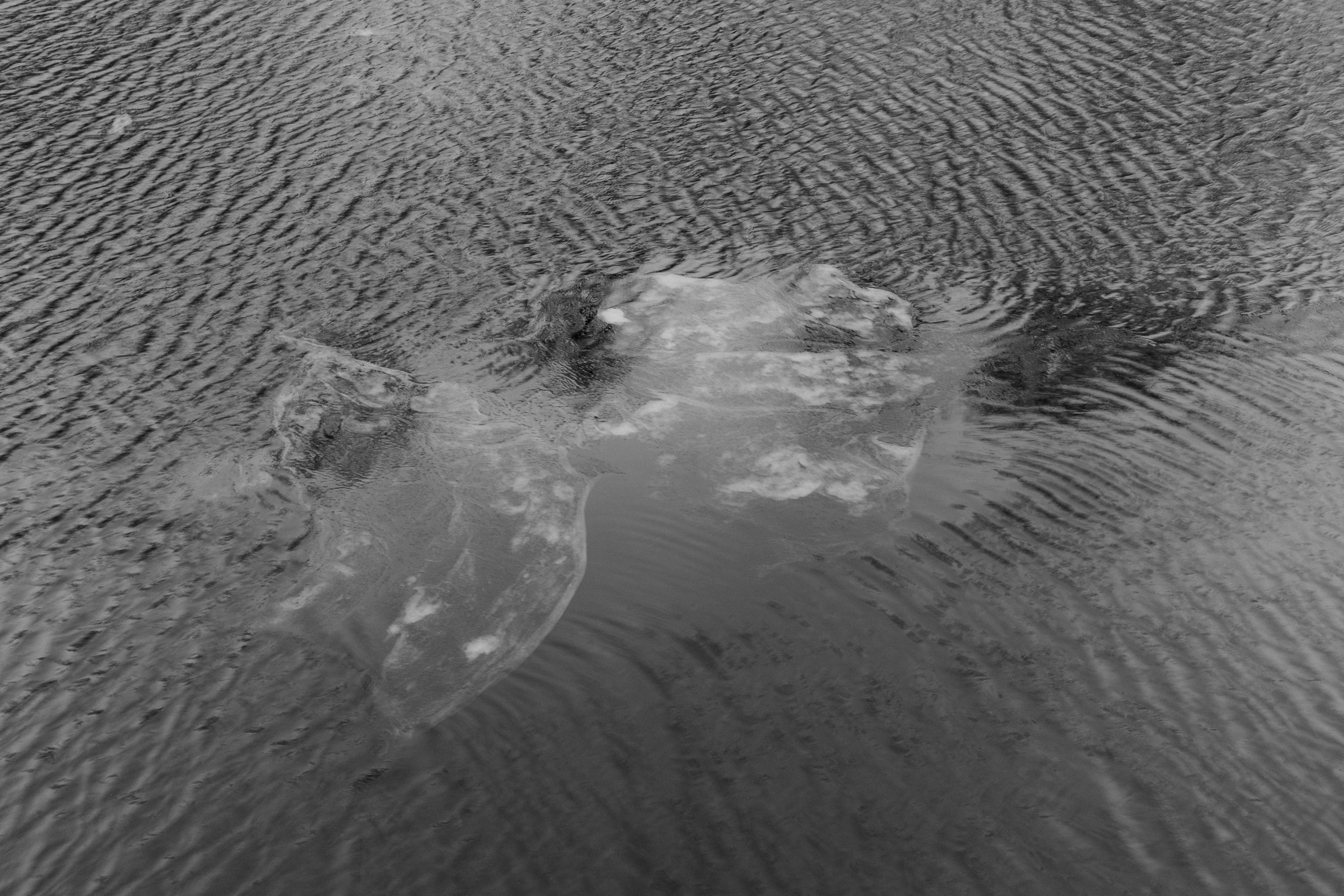 Настя Арланцева | Мария. Private image