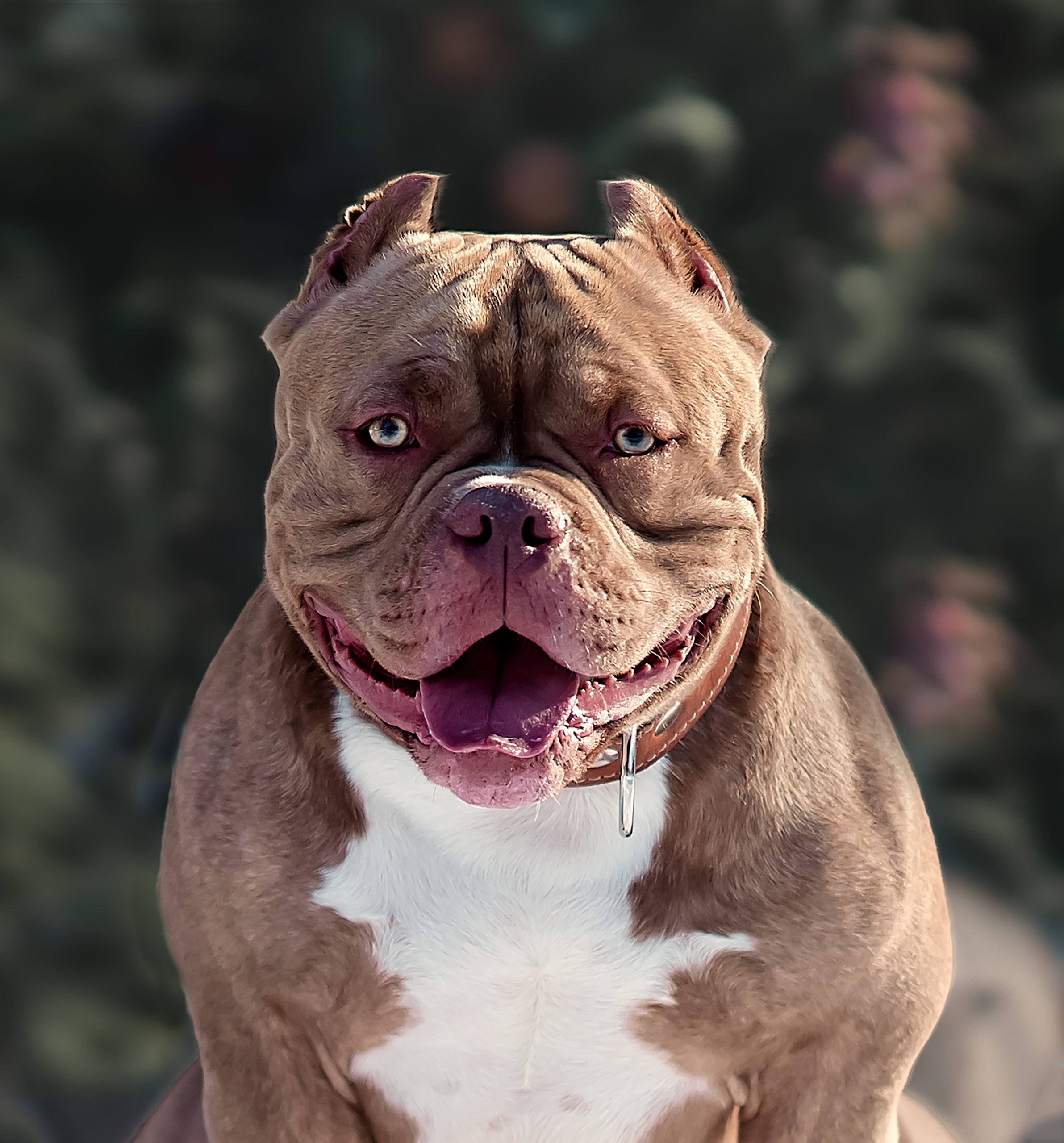 Фотографии животных. Фотограф Кочнова Диана город Владивосток