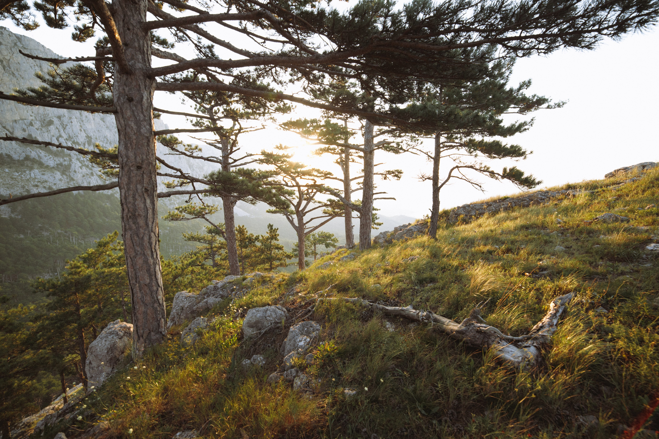 Nature. Артем Корнев Фотограф