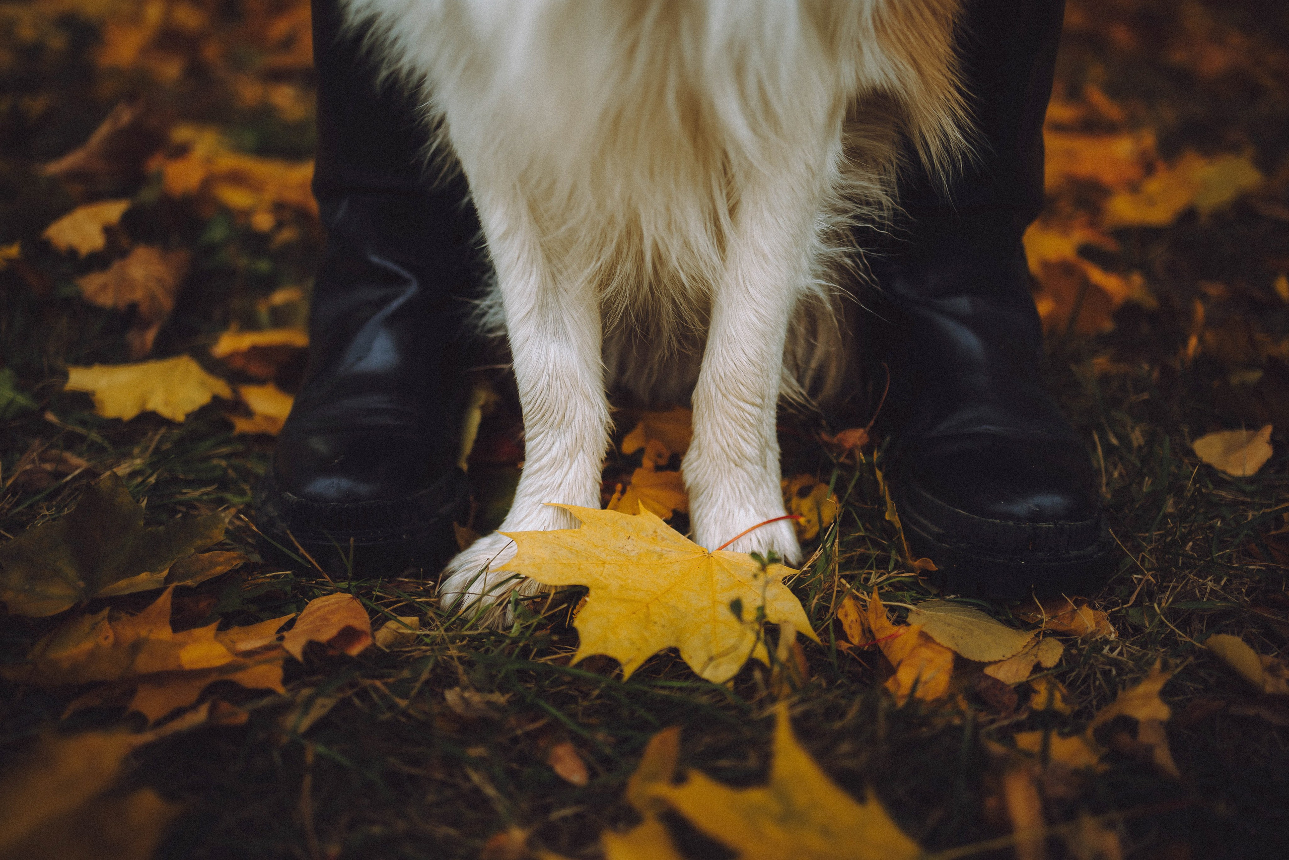 Алина, Витя и Асти