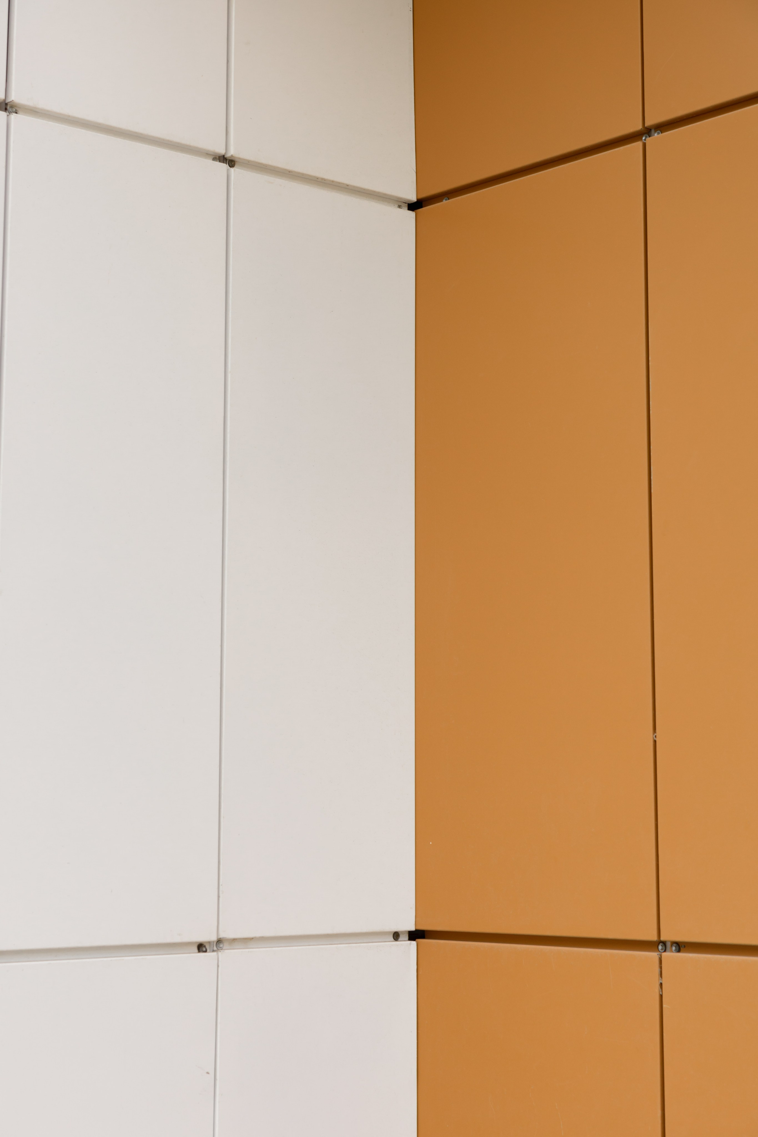 РЕНОВАЦИЯ — НОВИКОВА-ПРИБОЯ. АЛТ Портфолио