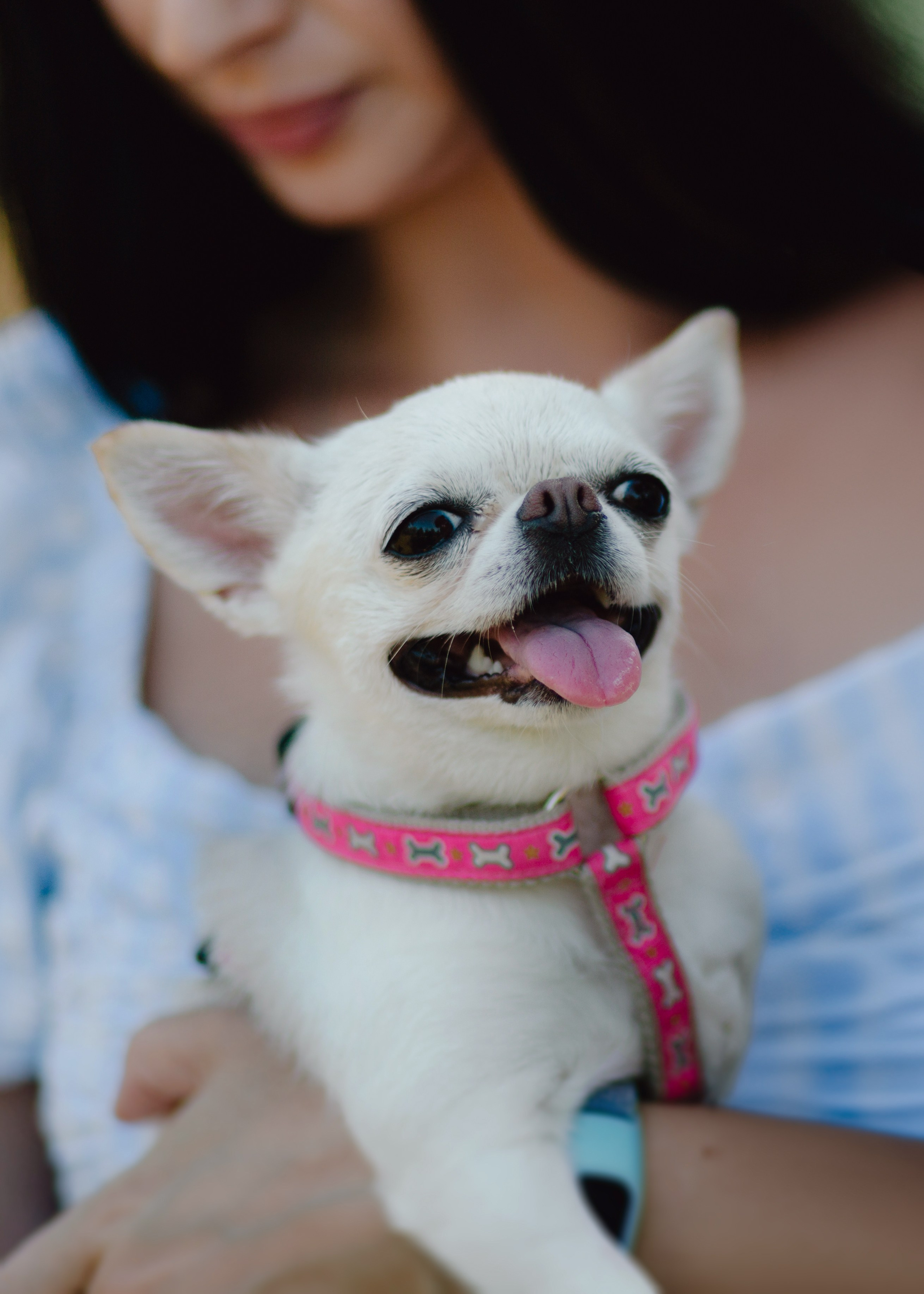 Charming Princesses. Barbara Isaeva