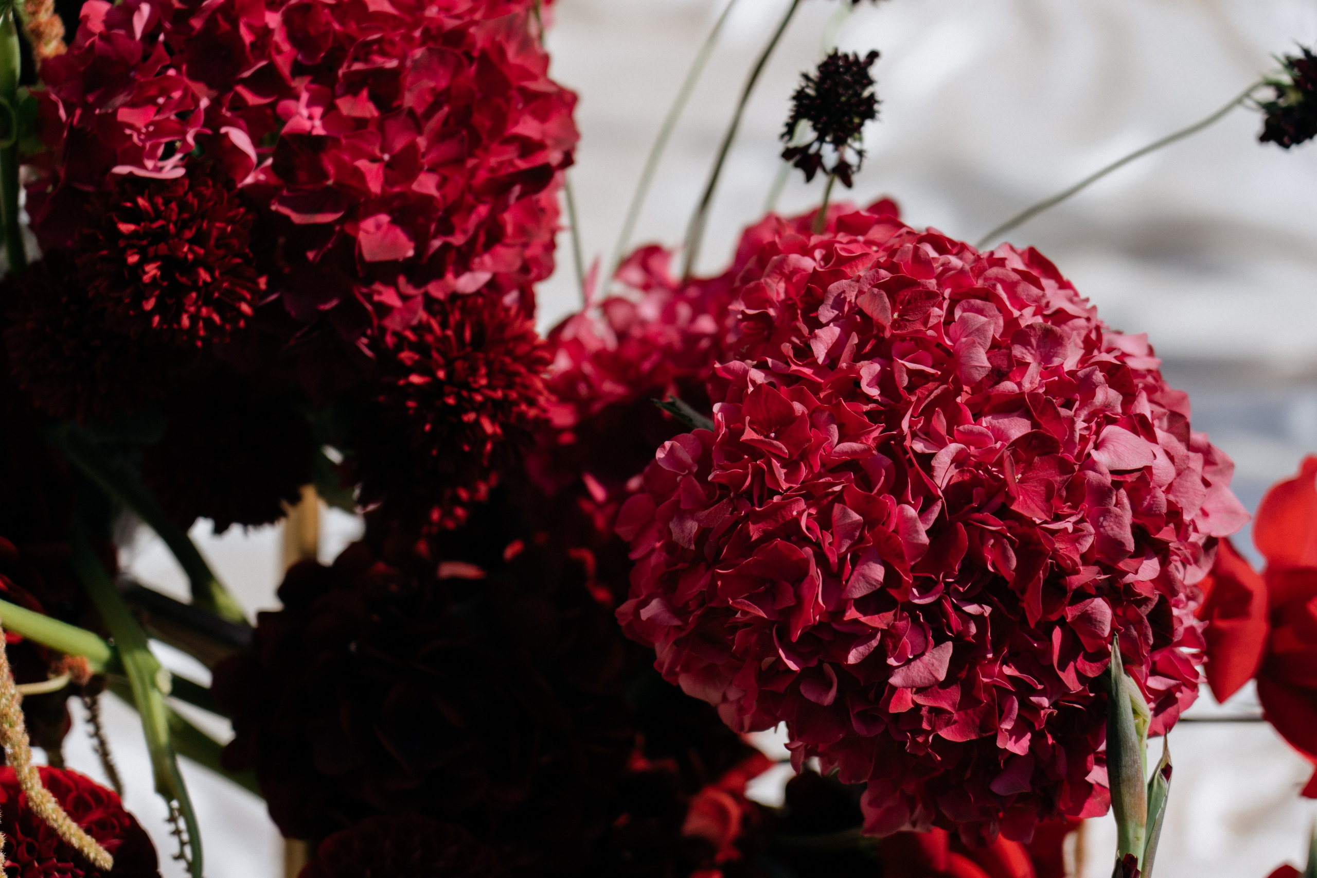 Сергей и Алина. Свадебный и семейный фотограф в Калининграде Анастасия Гриценко