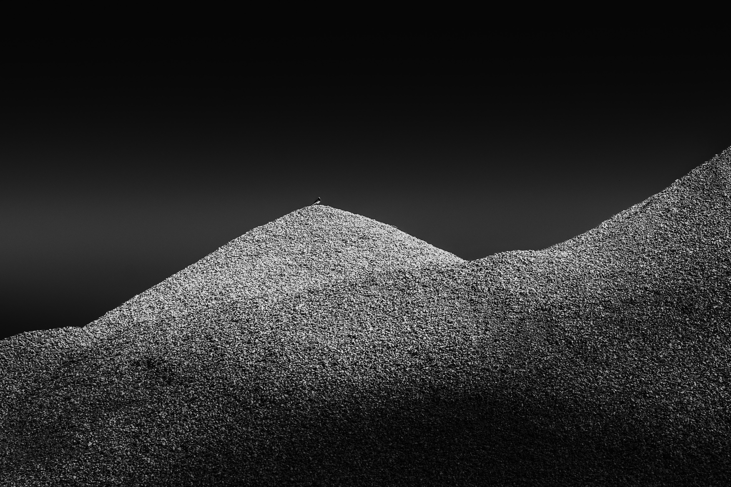 Фотограф в Москве